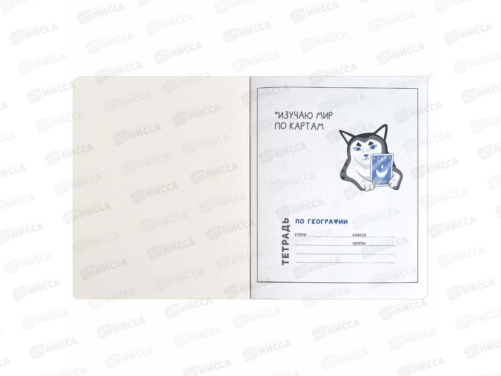Тетрадь 48л кл. ФЕН Коты мемы. География, 69825  *16/48