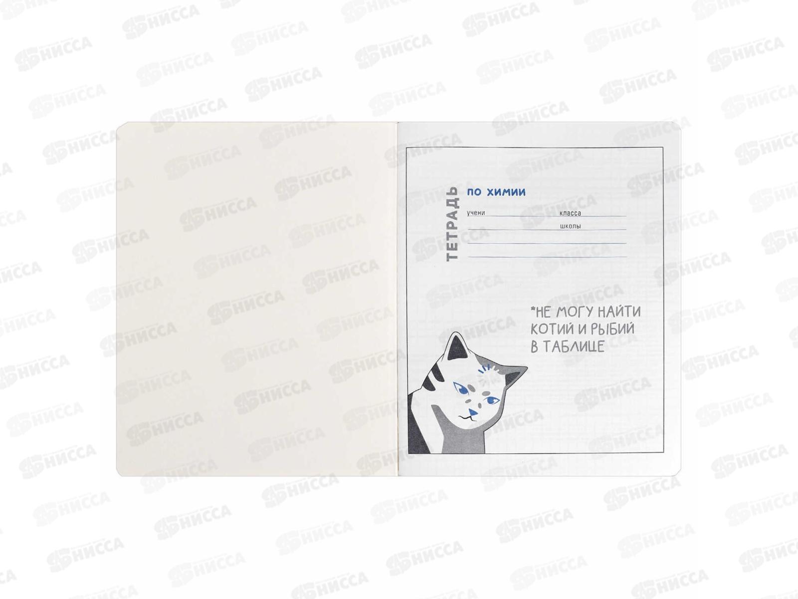Тетрадь 48л кл. ФЕН Коты мемы. Химия, 69826  *16/48
