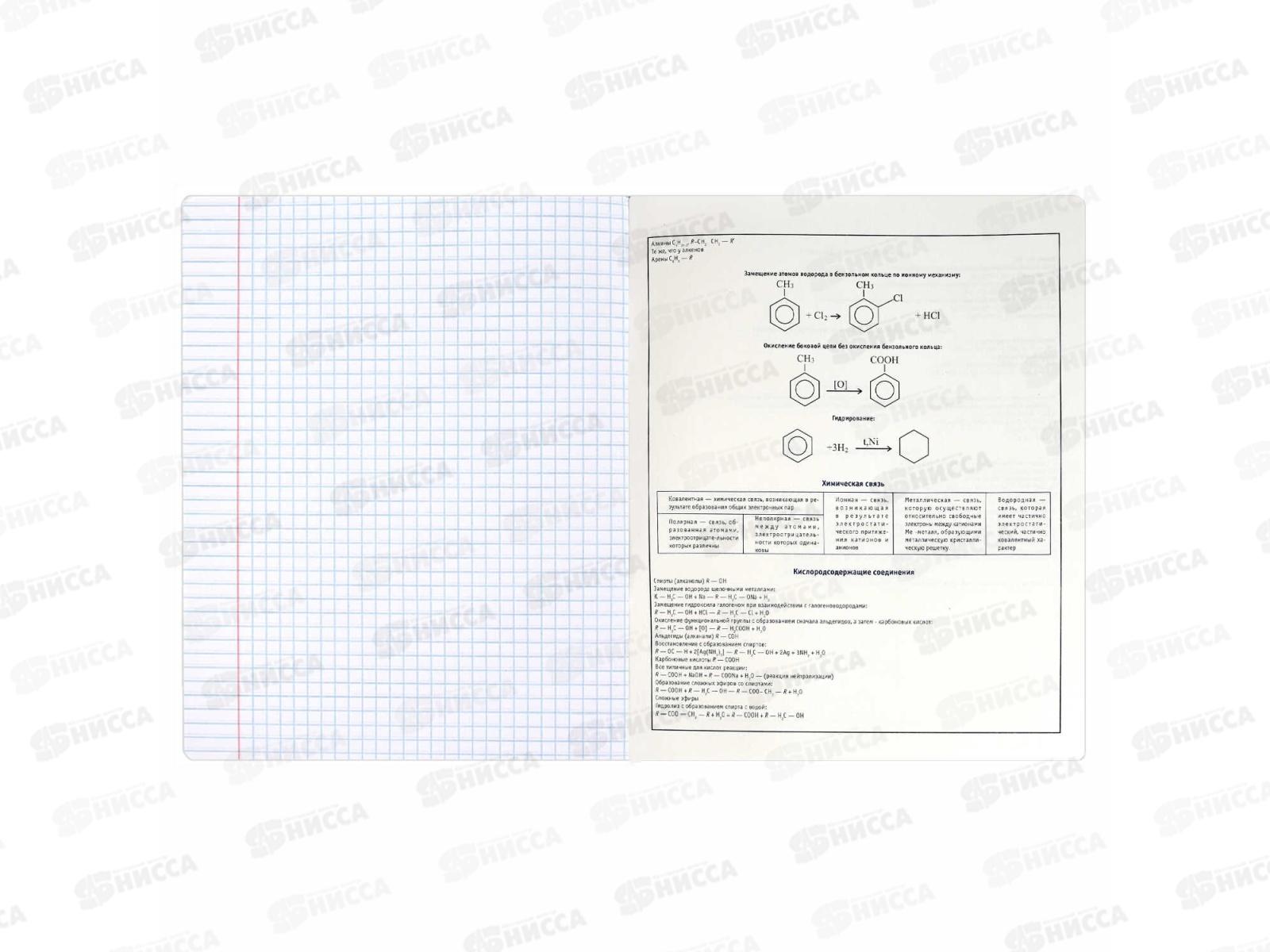 Тетрадь 48л кл. ФЕН Коты мемы. Химия, 69826  *16/48