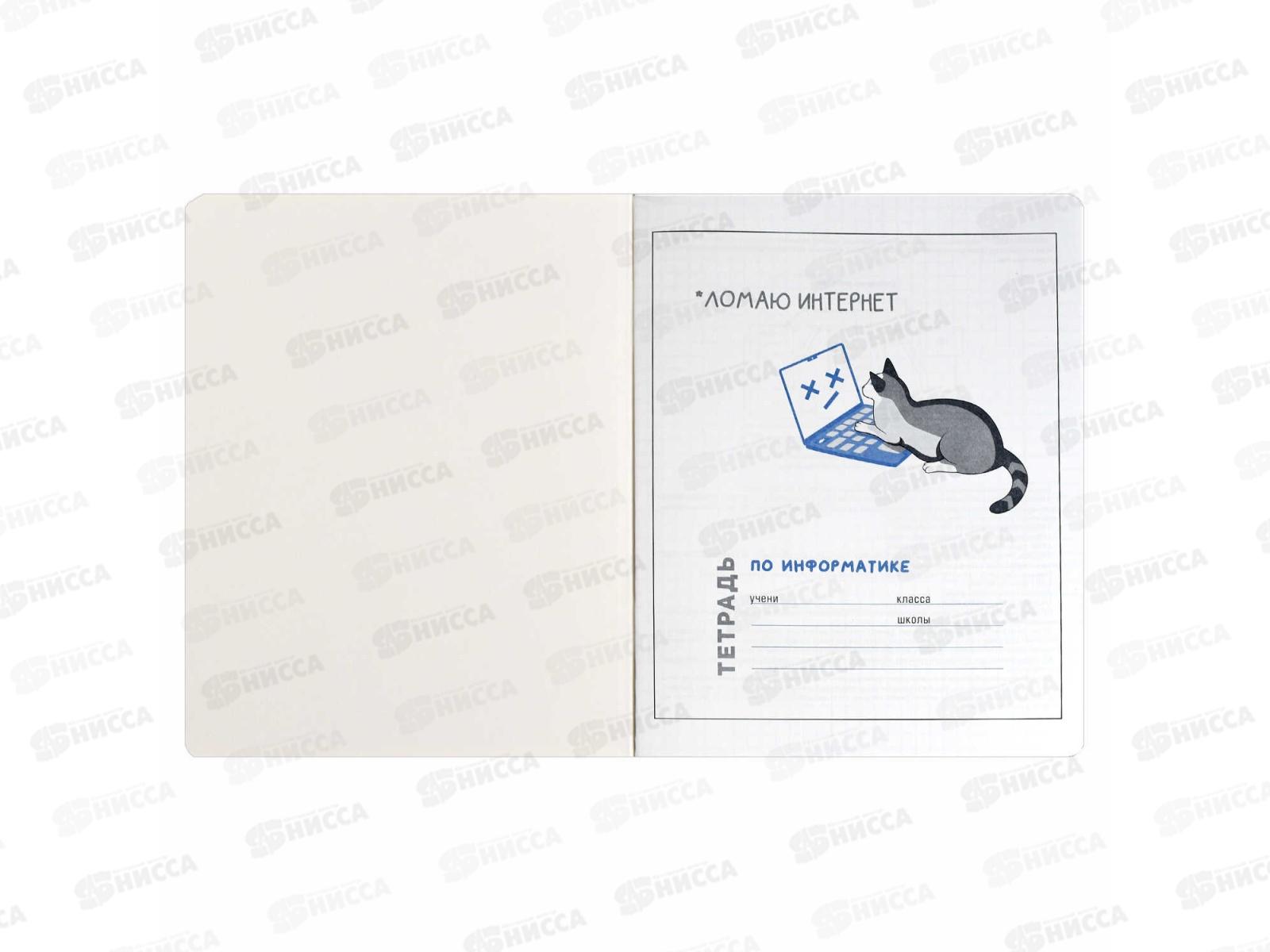 Тетрадь 48л кл. ФЕН Коты мемы. Информатика, 69827  *16/48