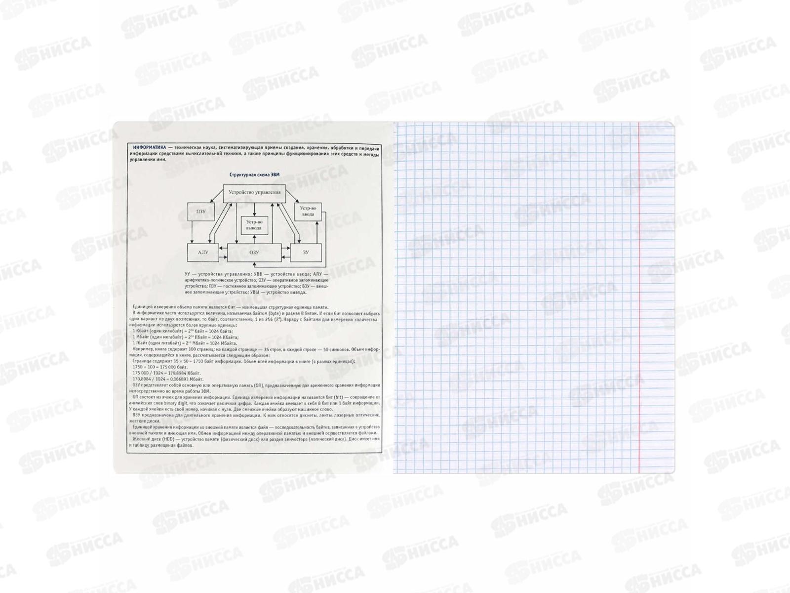 Тетрадь 48л кл. ФЕН Коты мемы. Информатика, 69827  *16/48