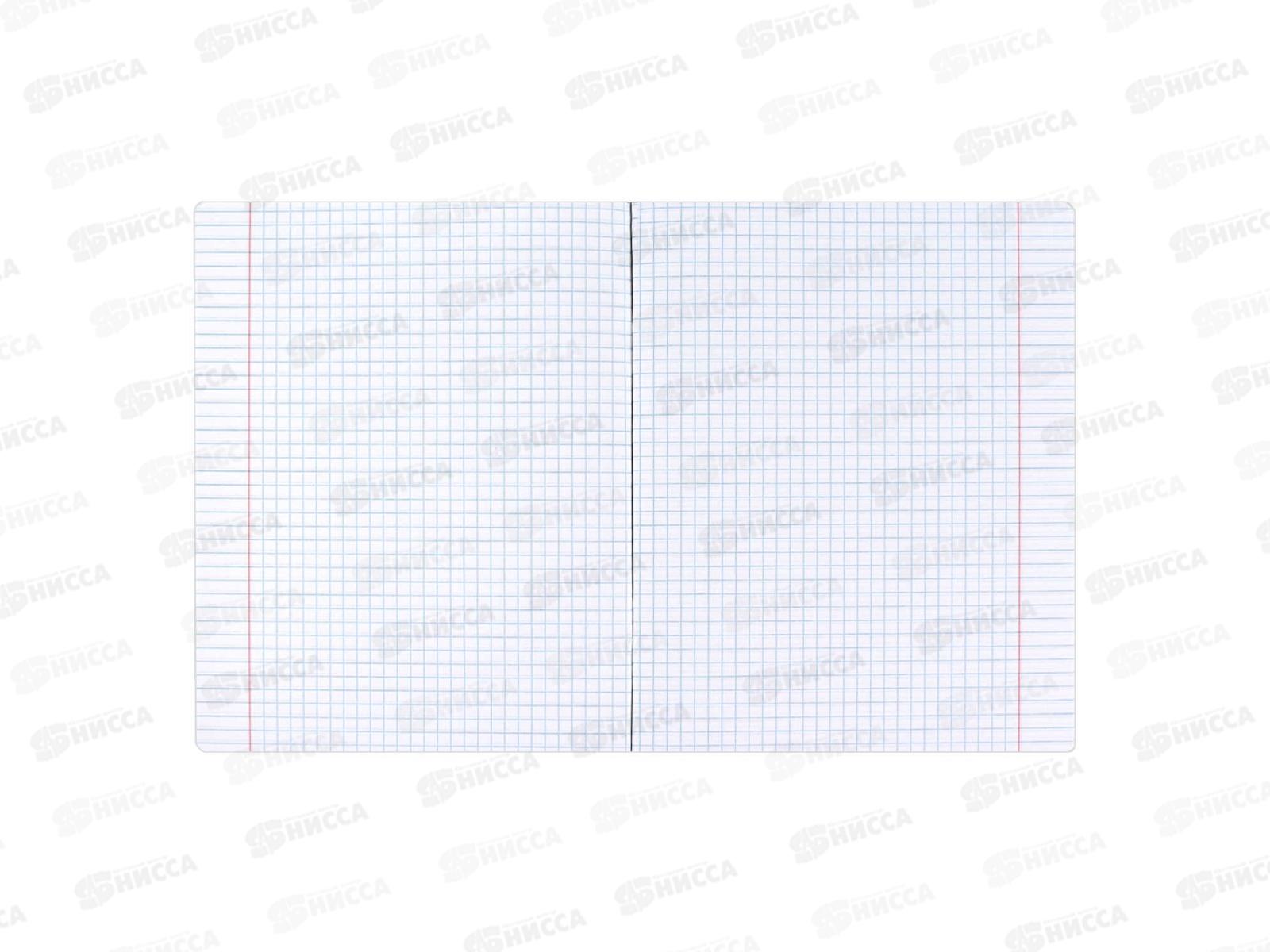 Тетрадь 48л кл. ФЕН Коты мемы. Информатика, 69827  *16/48