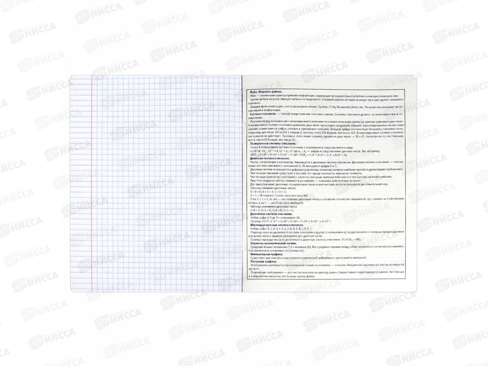 Тетрадь 48л кл. ФЕН Коты мемы. Информатика, 69827  *16/48