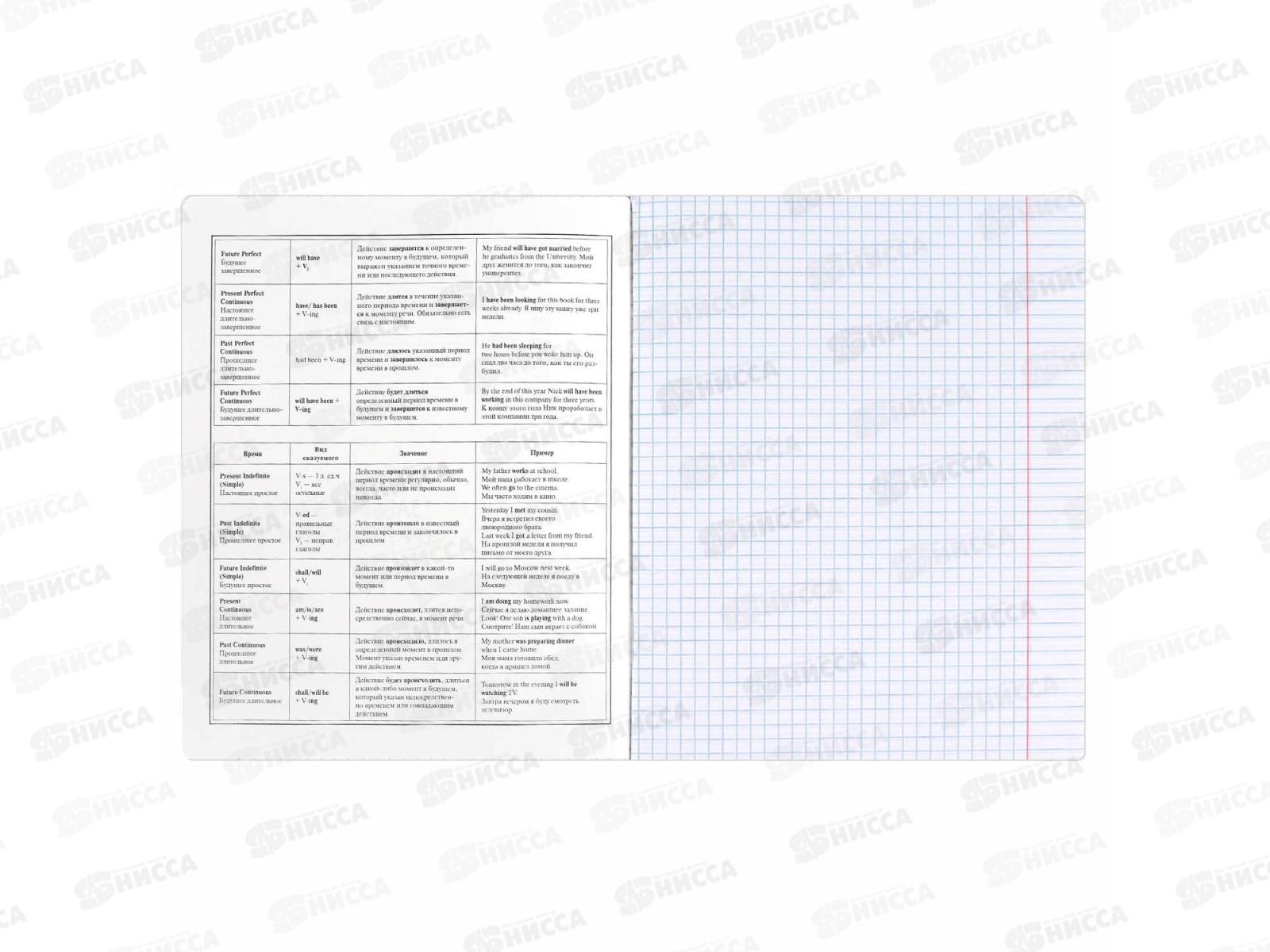 Тетрадь 48л кл. ФЕН Коты мемы. Английский язык, 69828  *16/48