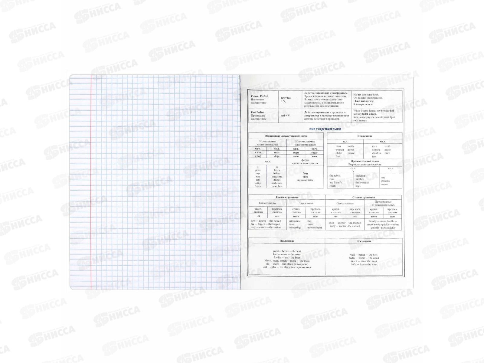 Тетрадь 48л кл. ФЕН Коты мемы. Английский язык, 69828  *16/48