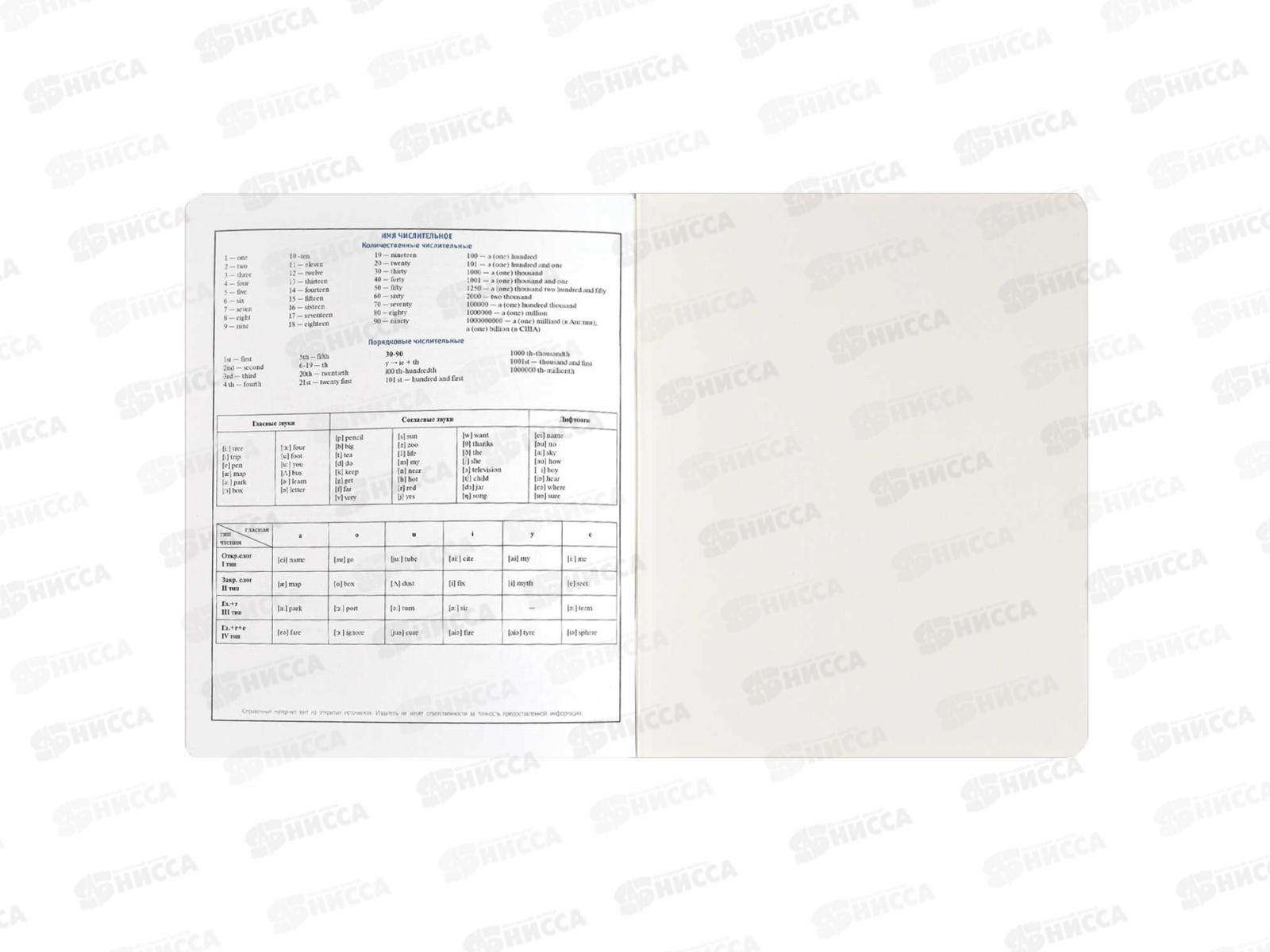 Тетрадь 48л кл. ФЕН Коты мемы. Английский язык, 69828  *16/48