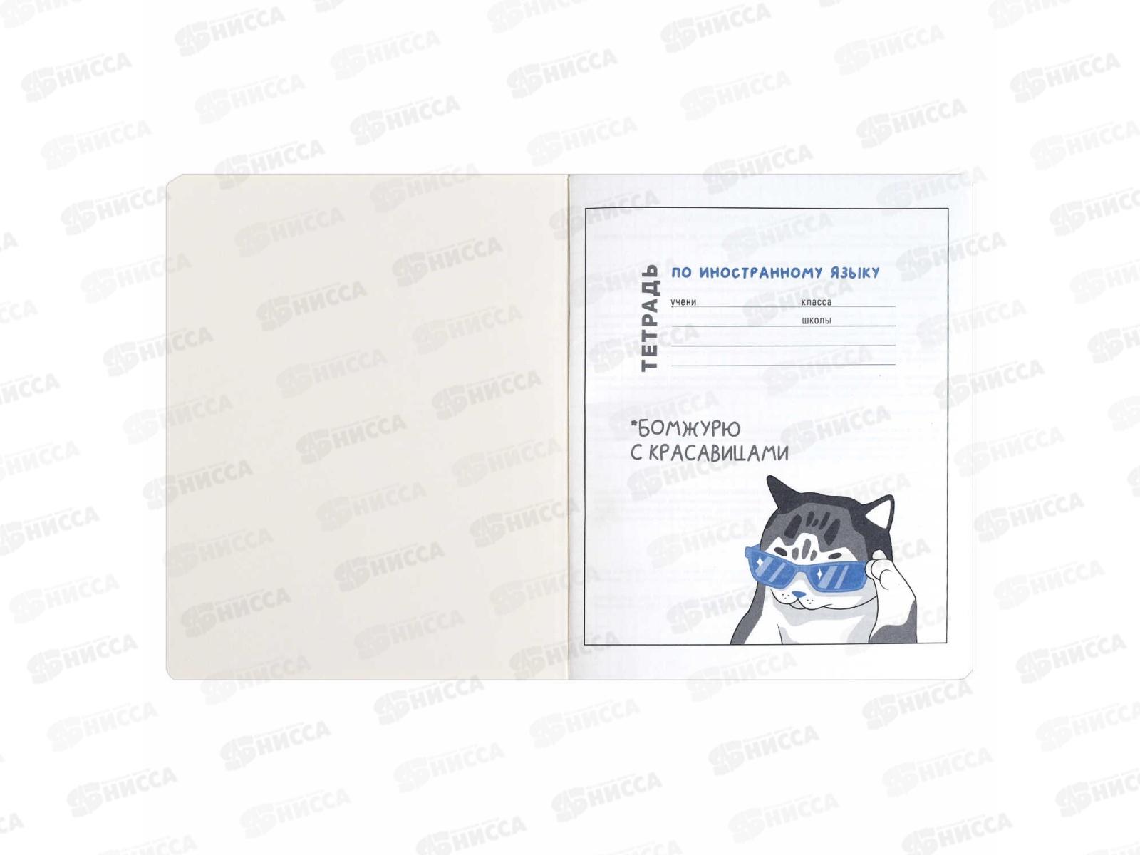 Тетрадь 48л кл. ФЕН Коты мемы. Иностранный язык, 69829  *16/48