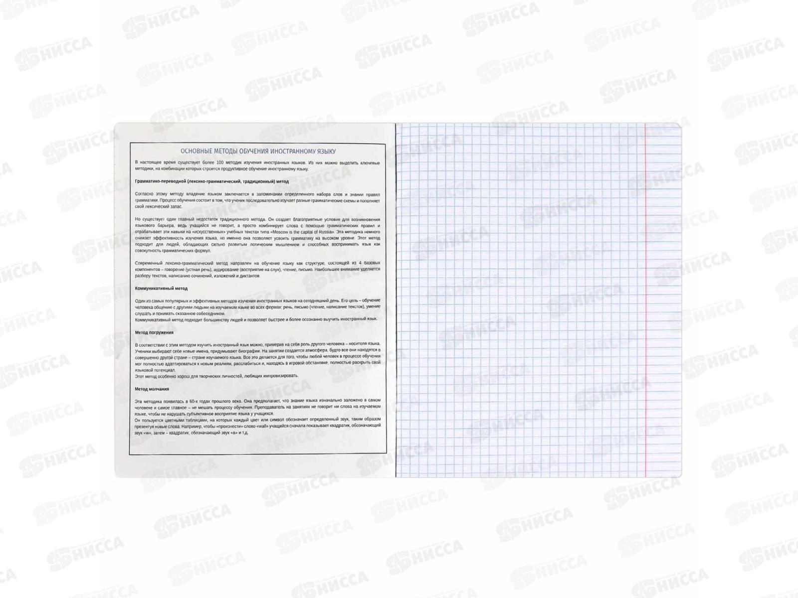 Тетрадь 48л кл. ФЕН Коты мемы. Иностранный язык, 69829  *16/48