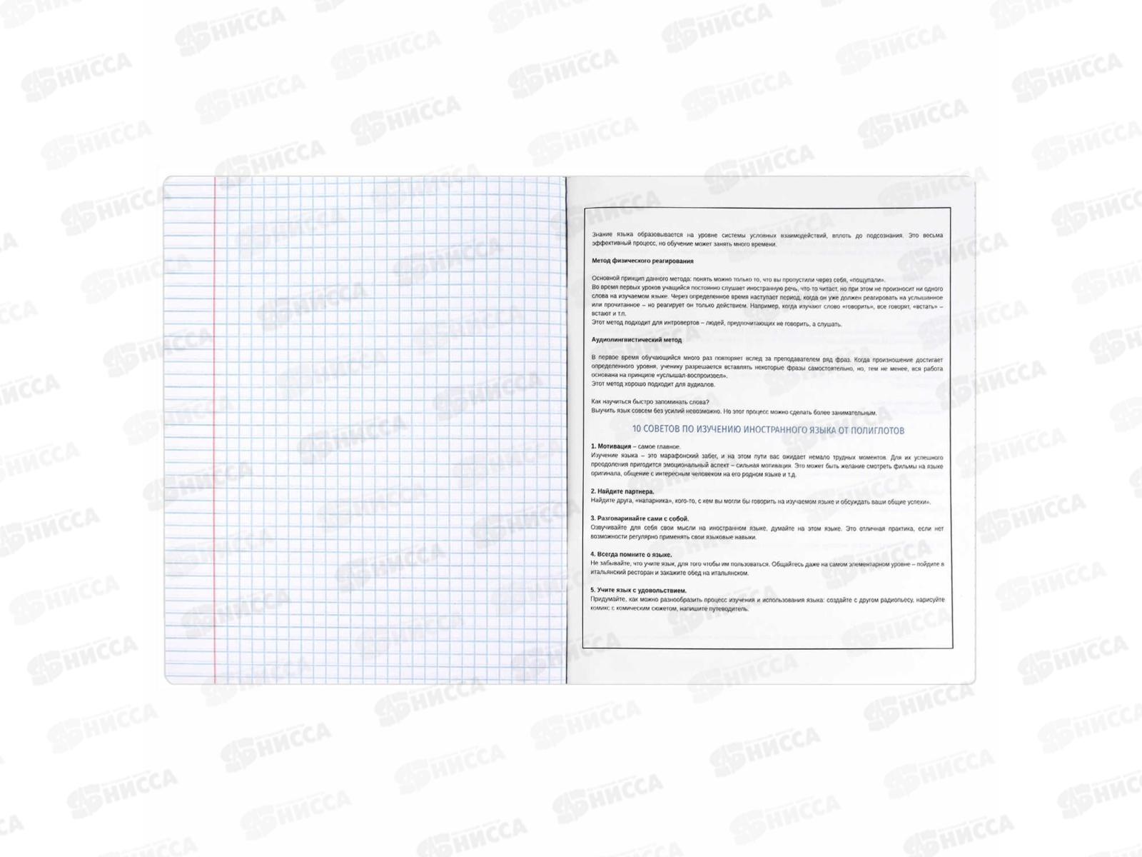 Тетрадь 48л кл. ФЕН Коты мемы. Иностранный язык, 69829  *16/48