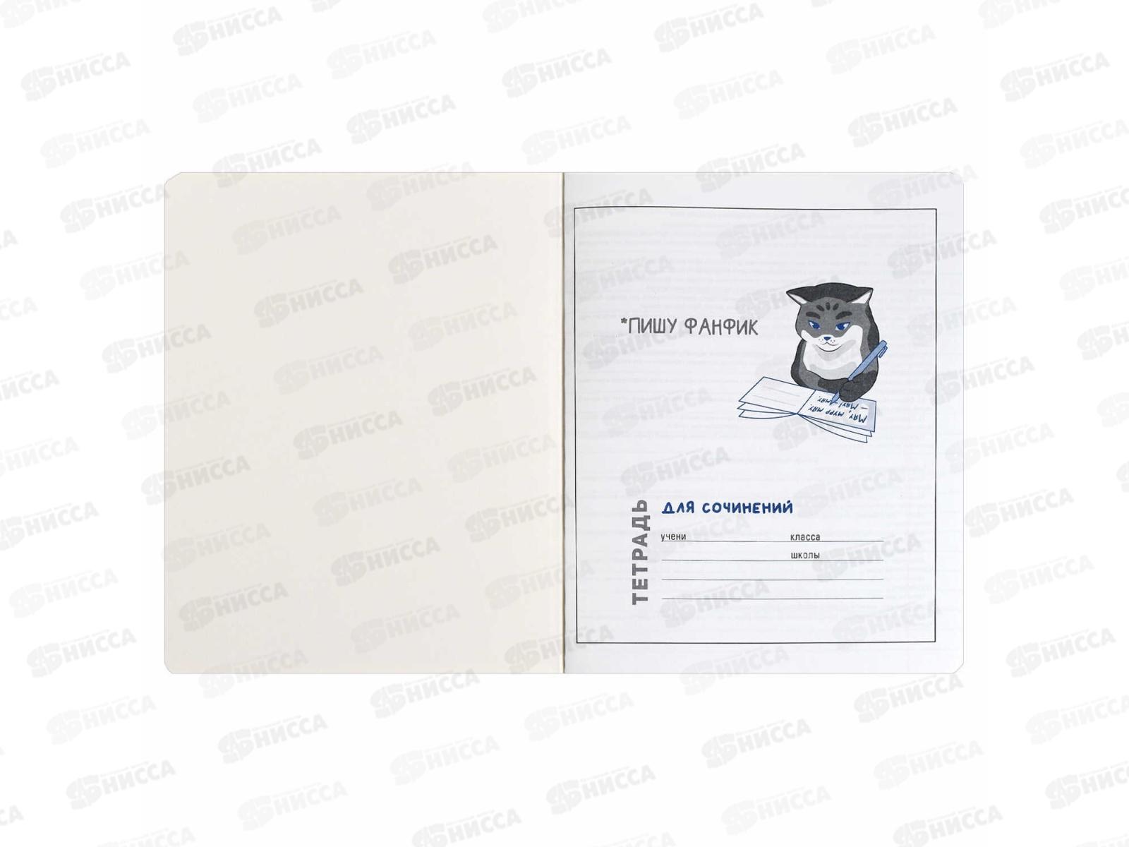 Тетрадь 48л лин. ФЕН Коты мемы. Для сочинений, 69831  *5/50