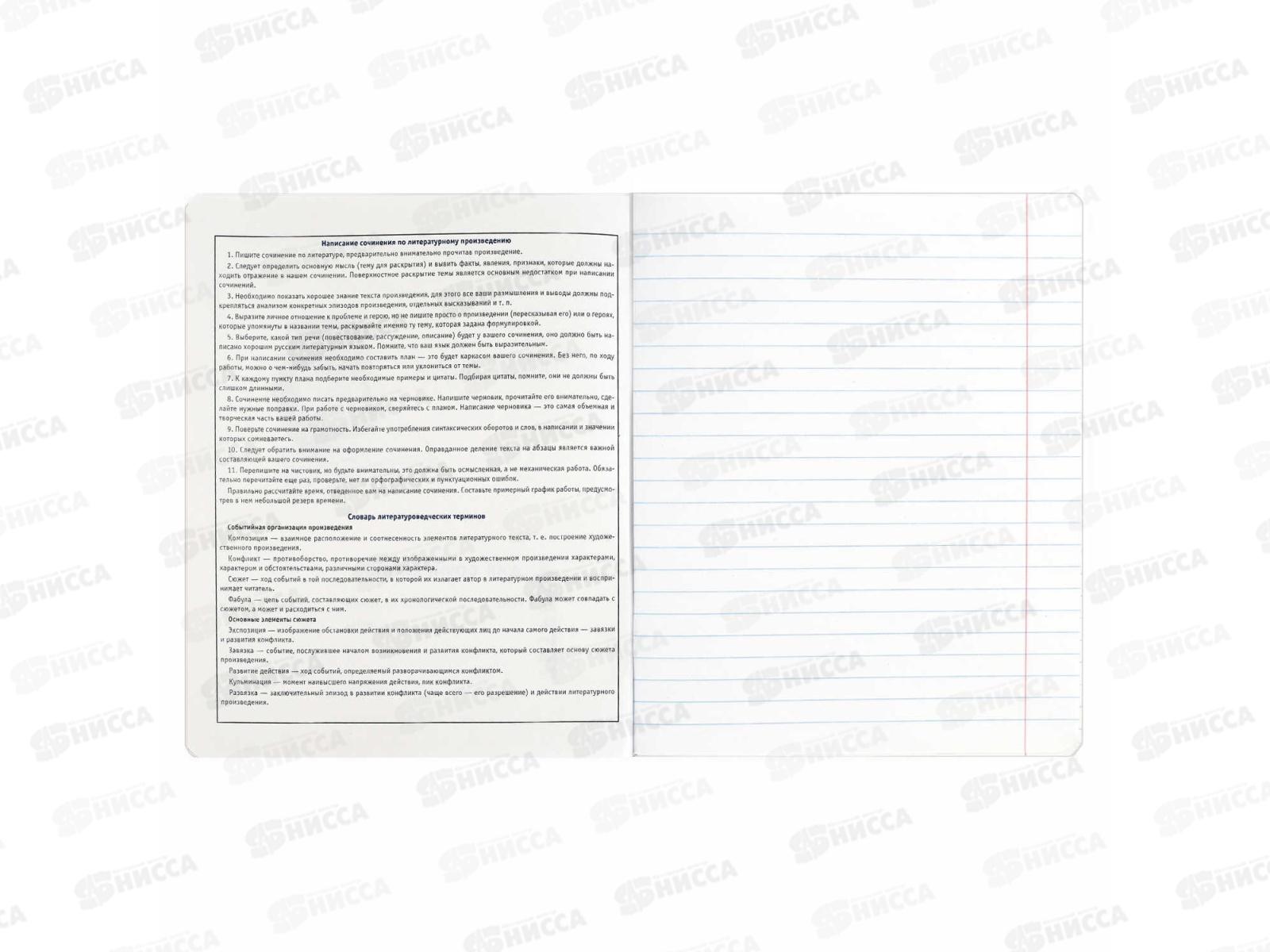 Тетрадь 48л лин. ФЕН Коты мемы. Для сочинений, 69831  *5/50