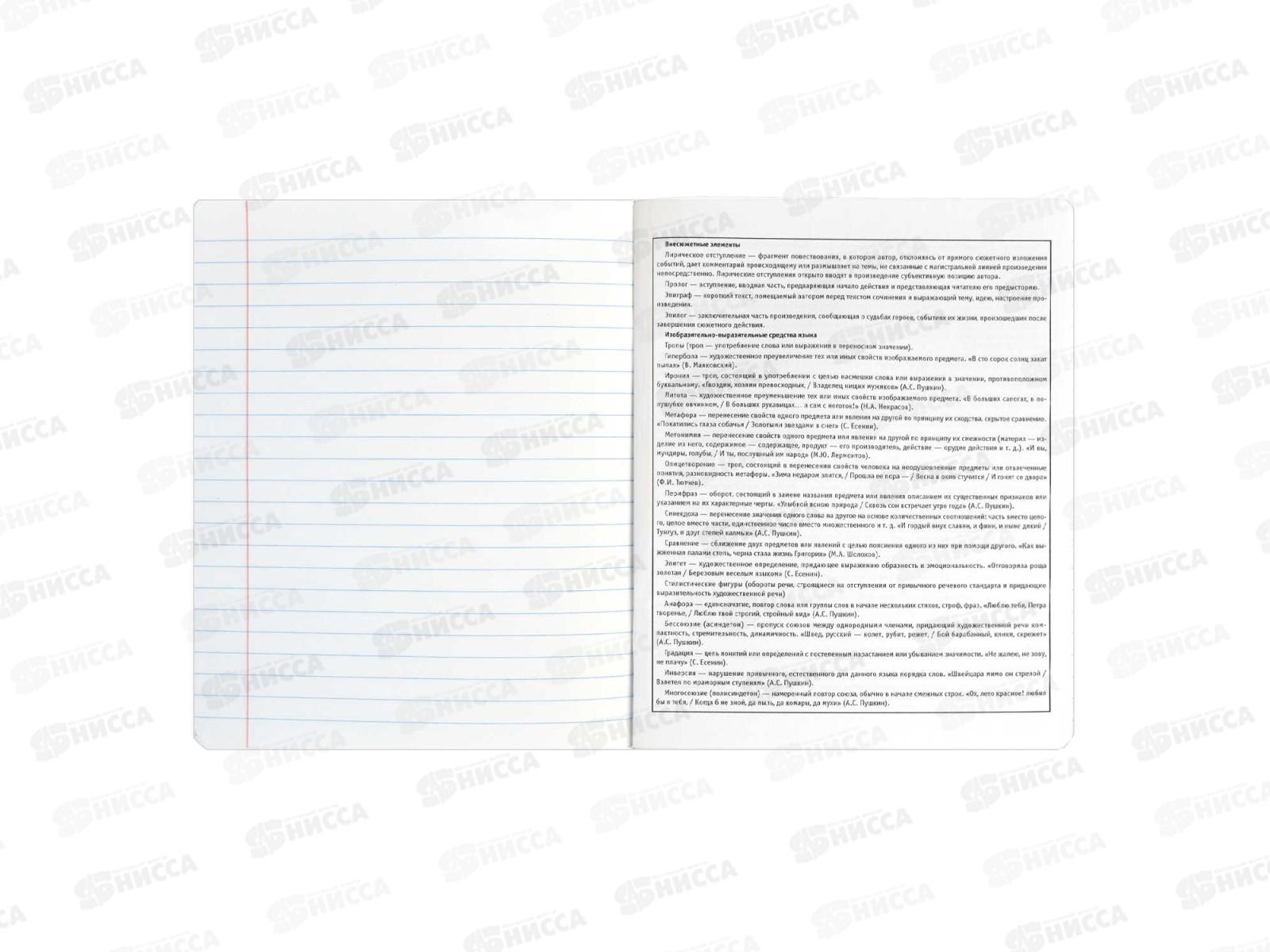 Тетрадь 48л лин. ФЕН Коты мемы. Для сочинений, 69831  *5/50