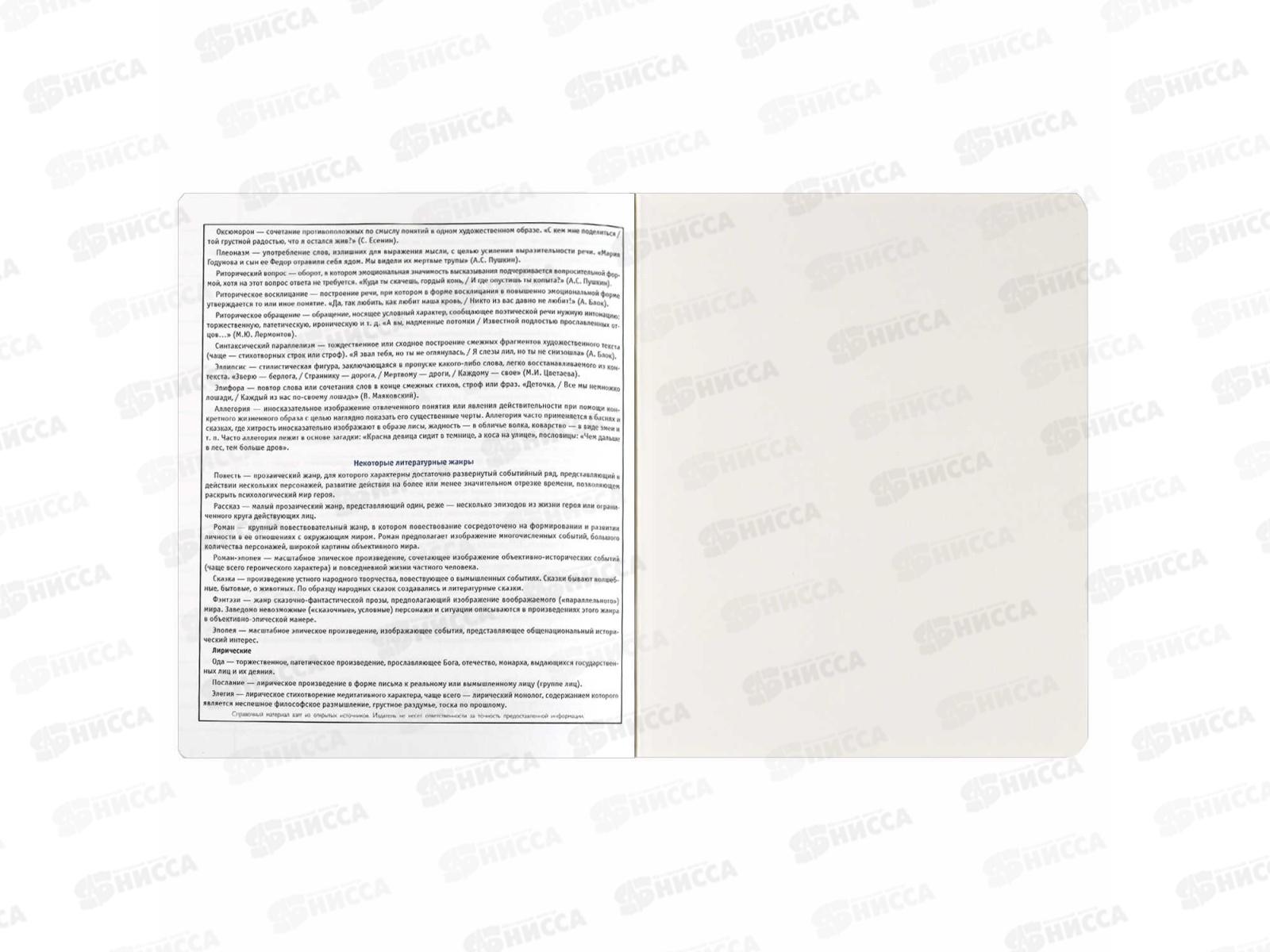 Тетрадь 48л лин. ФЕН Коты мемы. Для сочинений, 69831  *5/50