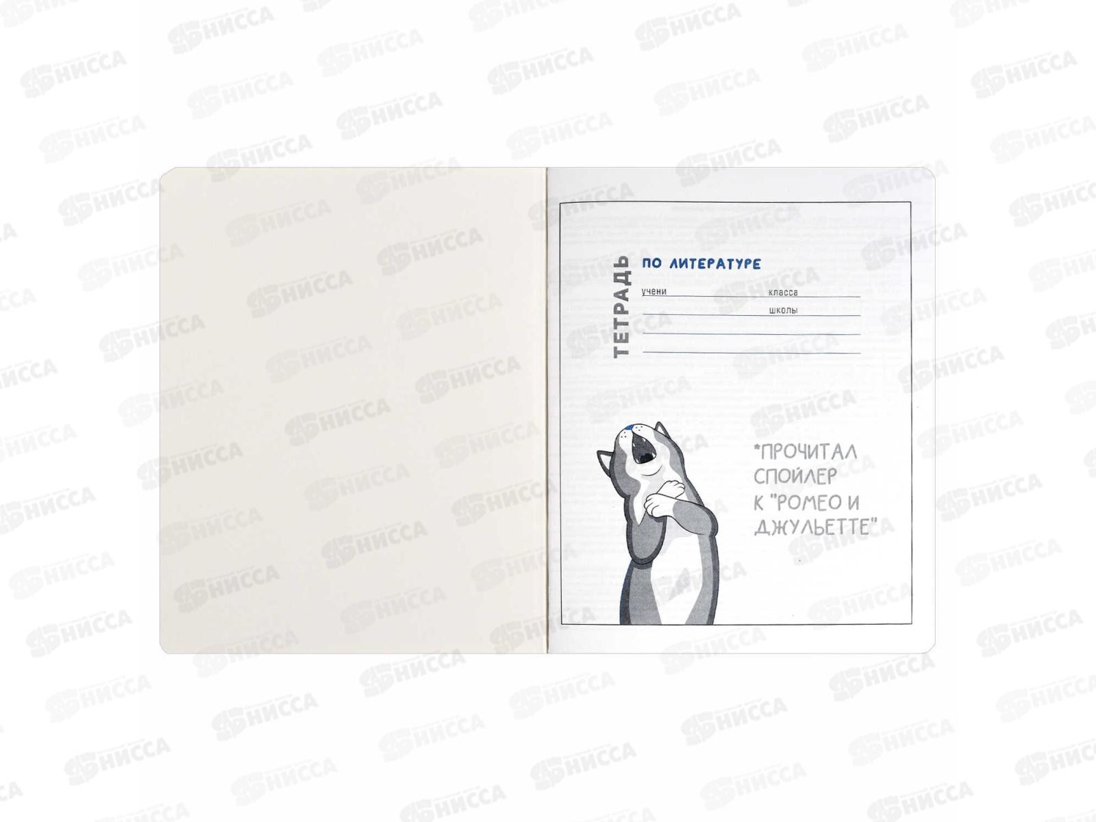 Тетрадь 48л лин. ФЕН Коты мемы. Литература, 69832  *16/48