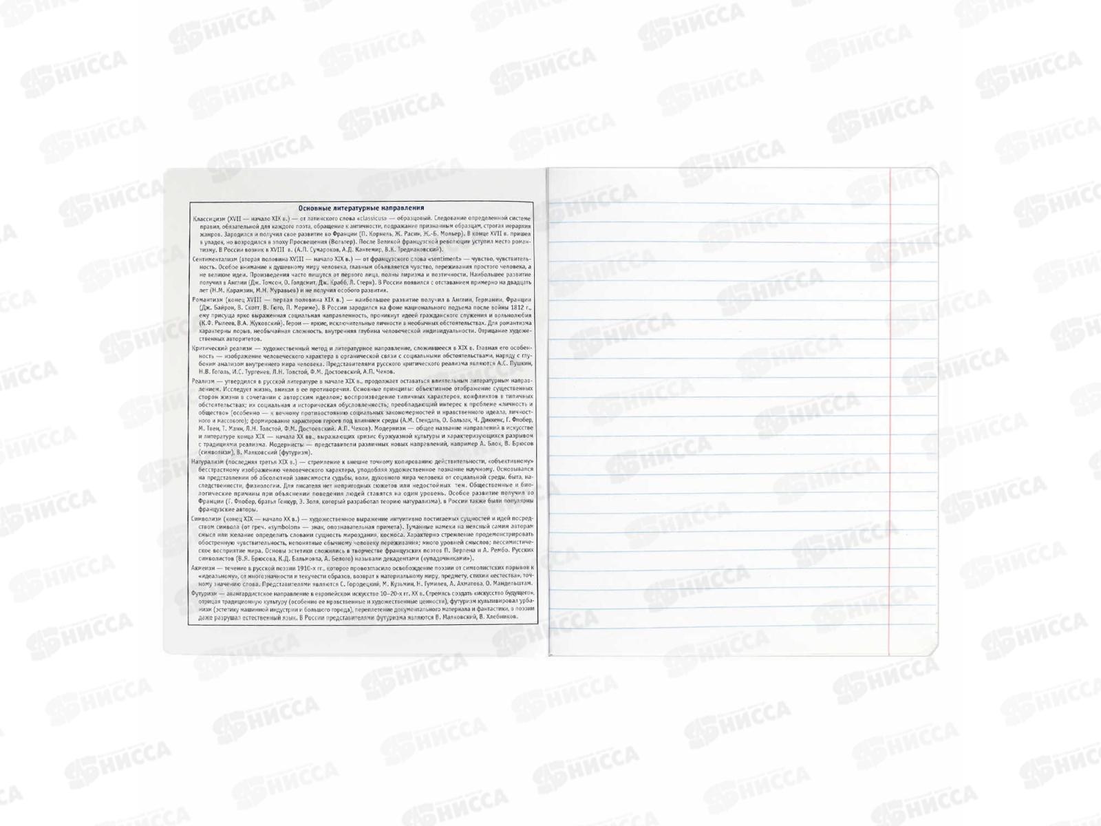 Тетрадь 48л лин. ФЕН Коты мемы. Литература, 69832  *16/48