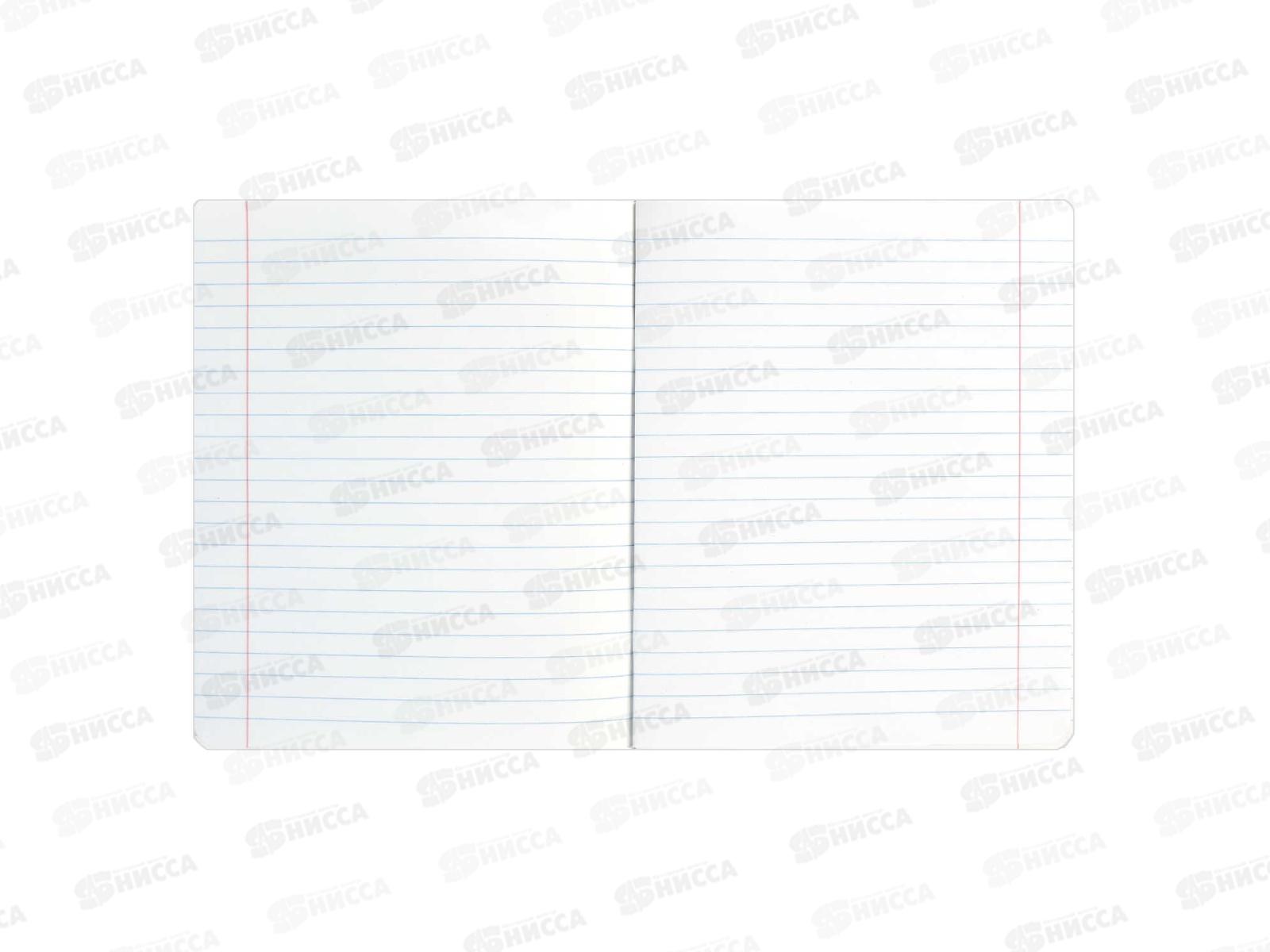 Тетрадь 48л лин. ФЕН Коты мемы. Литература, 69832  *16/48