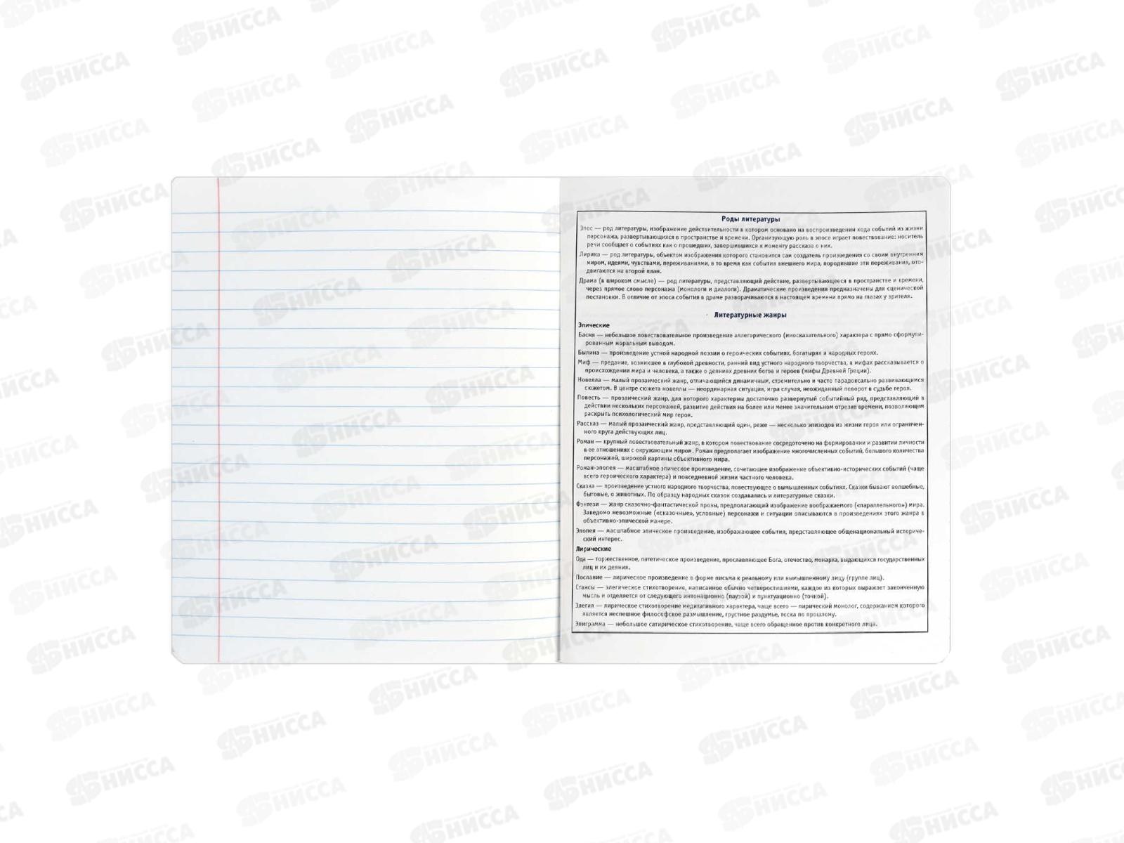 Тетрадь 48л лин. ФЕН Коты мемы. Литература, 69832  *16/48