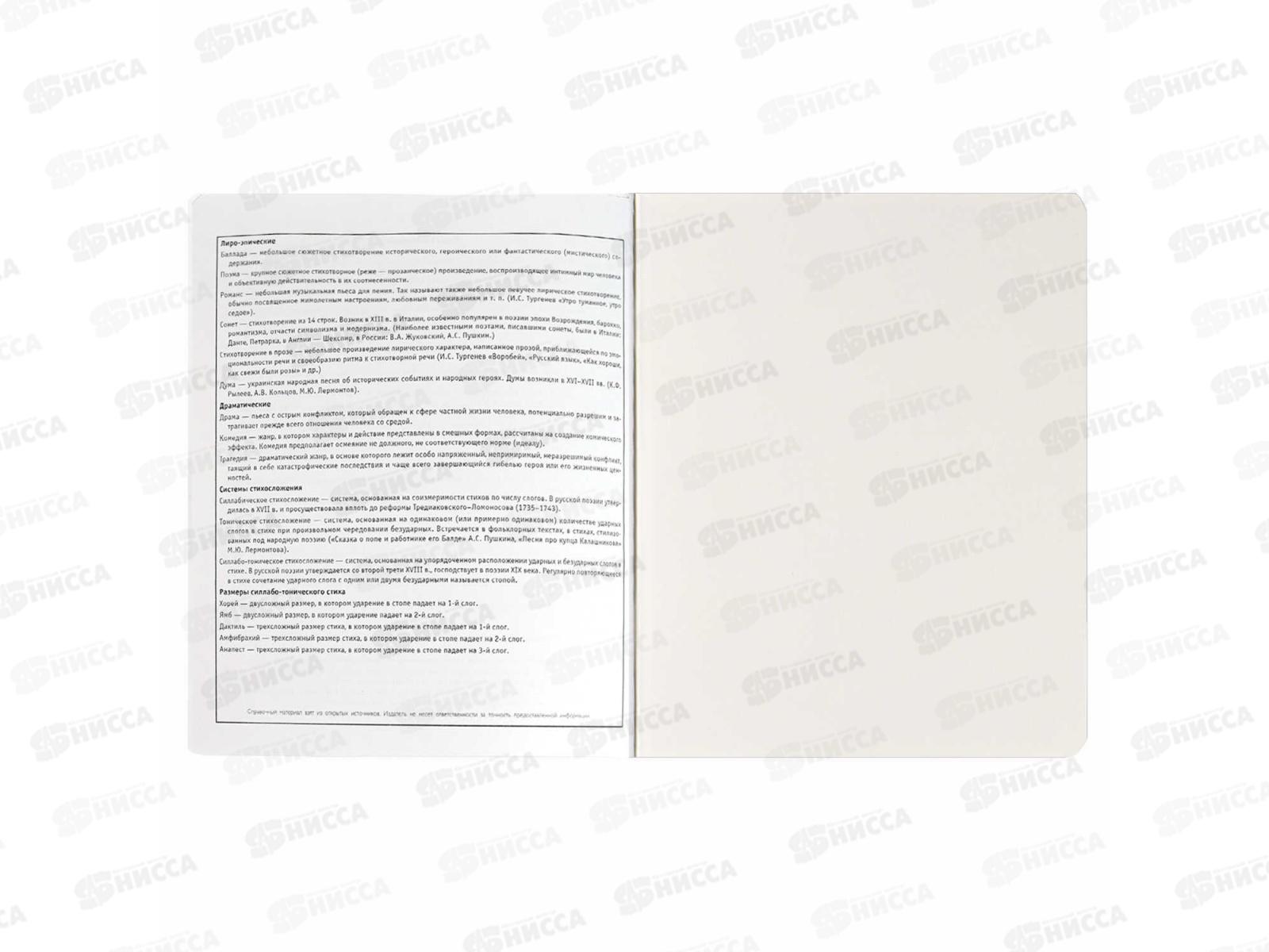 Тетрадь 48л лин. ФЕН Коты мемы. Литература, 69832  *16/48