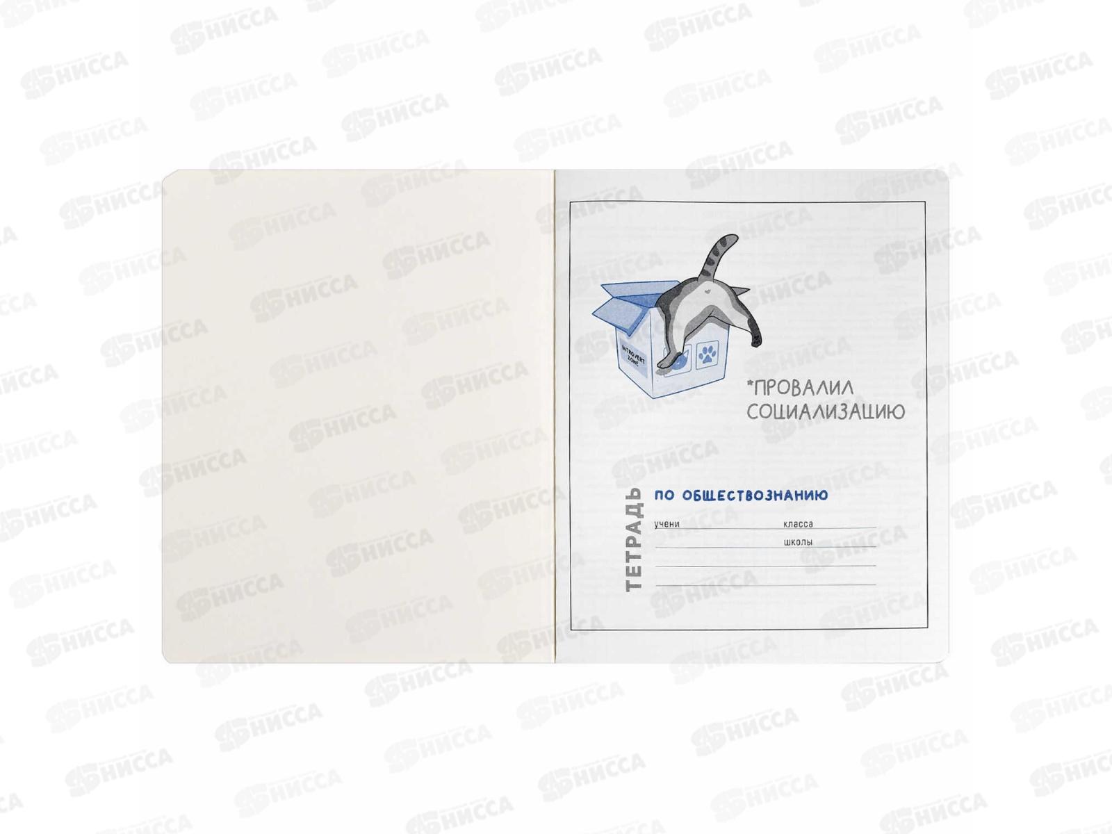 Тетрадь 48л кл. ФЕН Коты мемы. Обществознание, 69833  *16/48