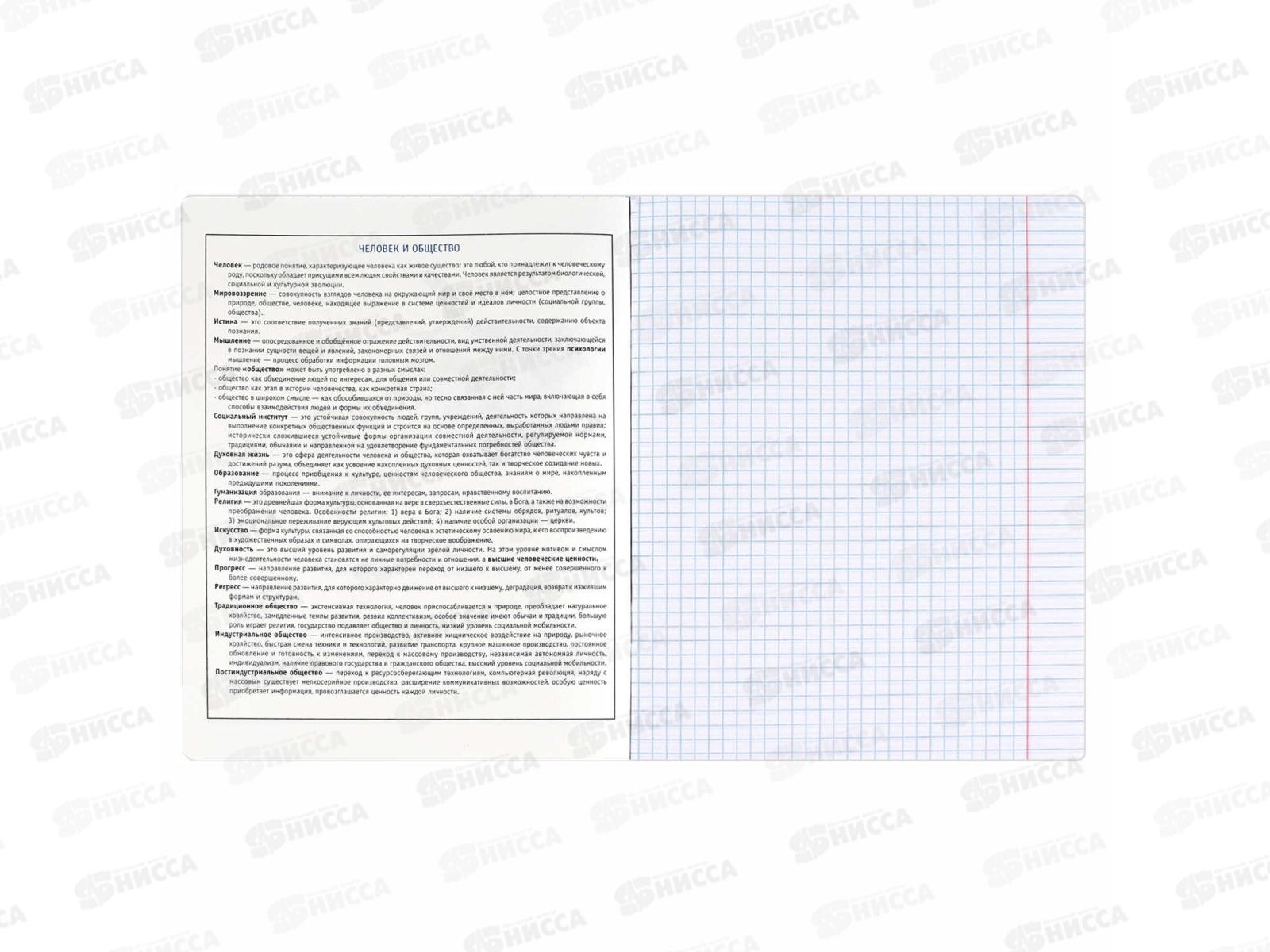 Тетрадь 48л кл. ФЕН Коты мемы. Обществознание, 69833  *16/48