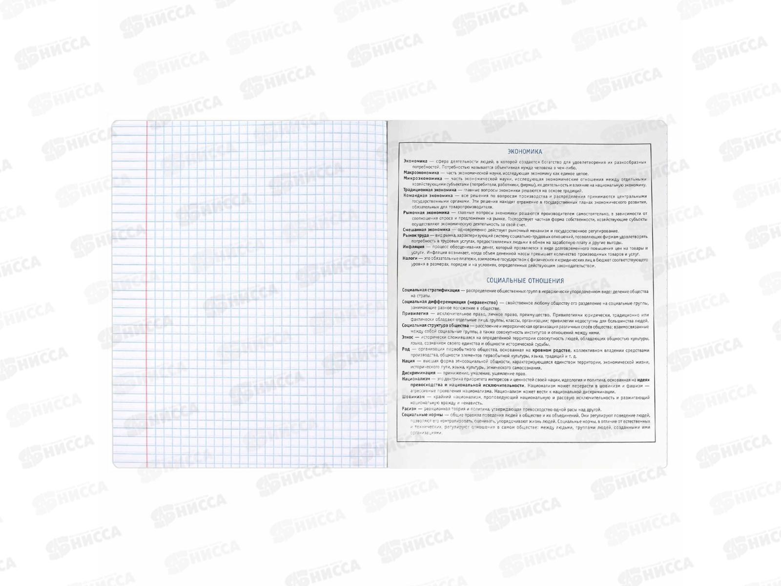 Тетрадь 48л кл. ФЕН Коты мемы. Обществознание, 69833  *16/48