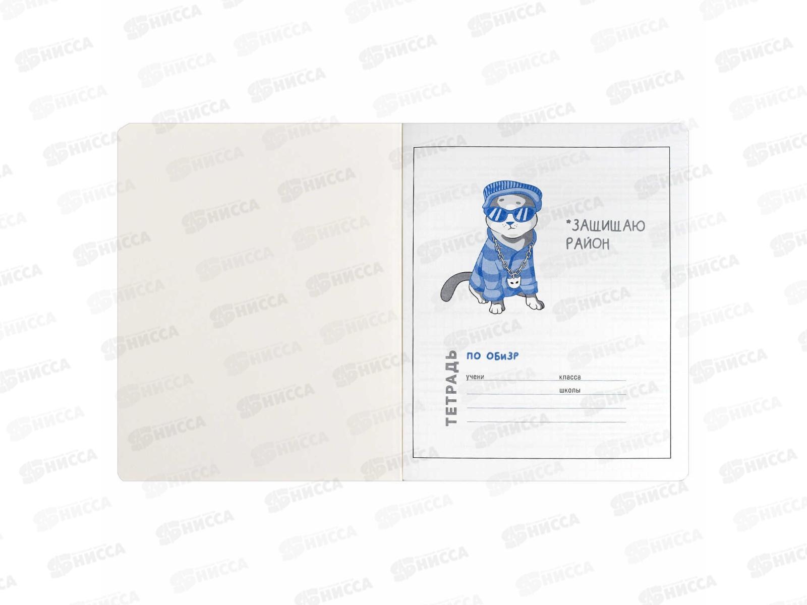 Тетрадь 48л кл. ФЕН Коты мемы. ОБиЗР, 69834  *16/48