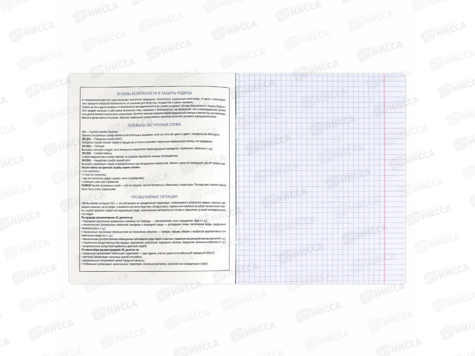 Тетрадь 48л кл. ФЕН Коты мемы. ОБиЗР, 69834  *16/48