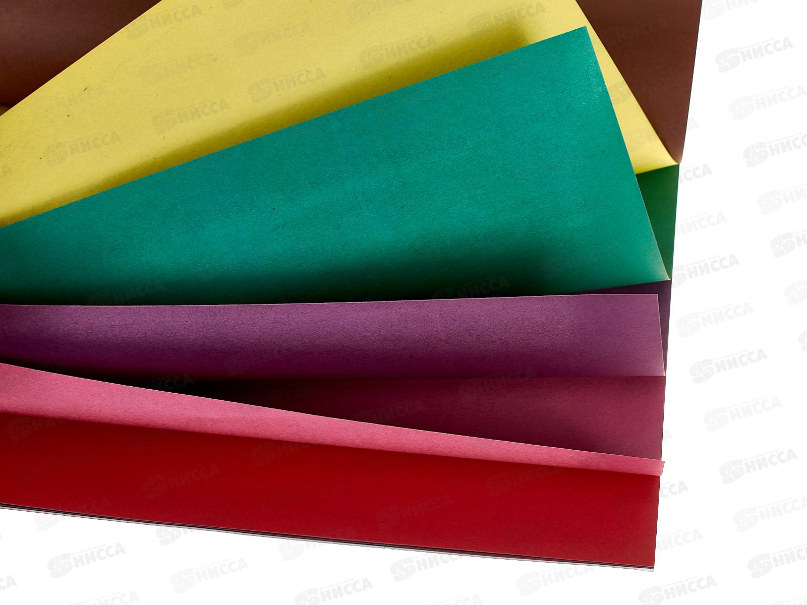 Цветная бум. 16л А4 ФЕН Котенок с седечком, 69958 *50