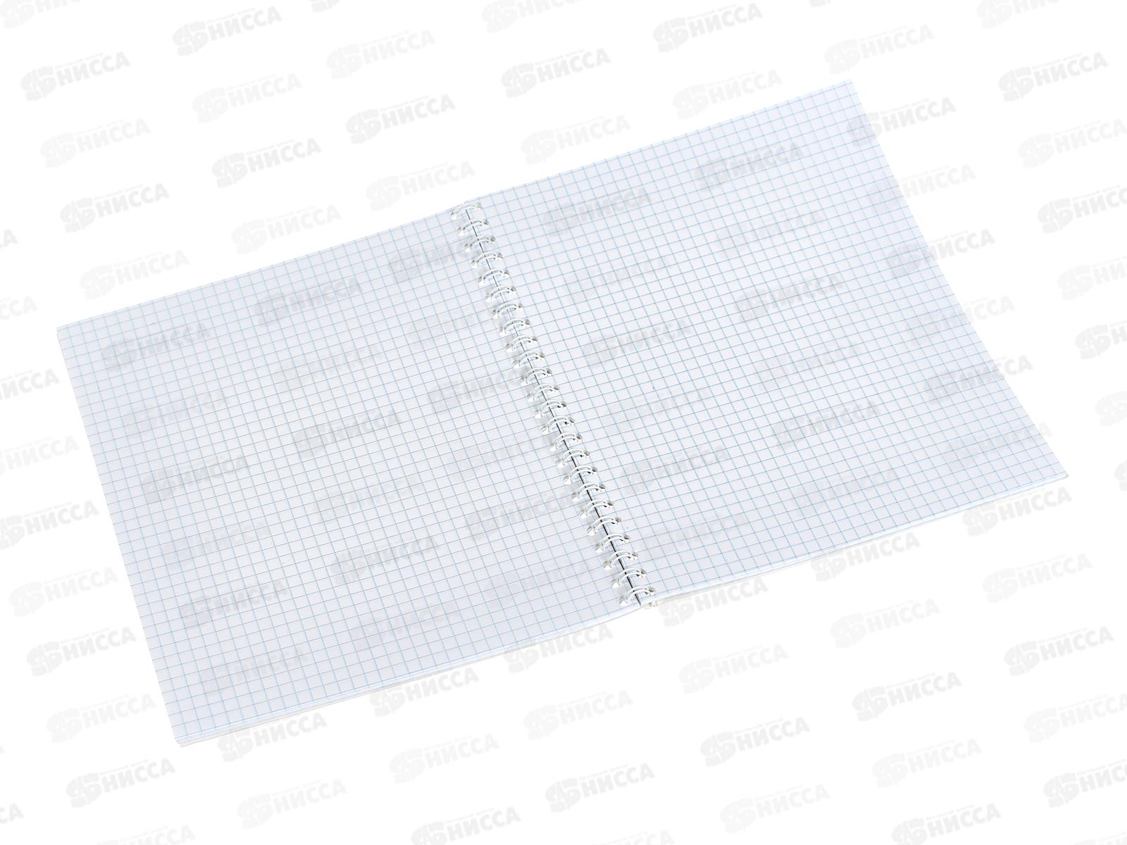 Тетрадь 60л кл. ПЛН Лисоньки,греб 2801-60/840656*30