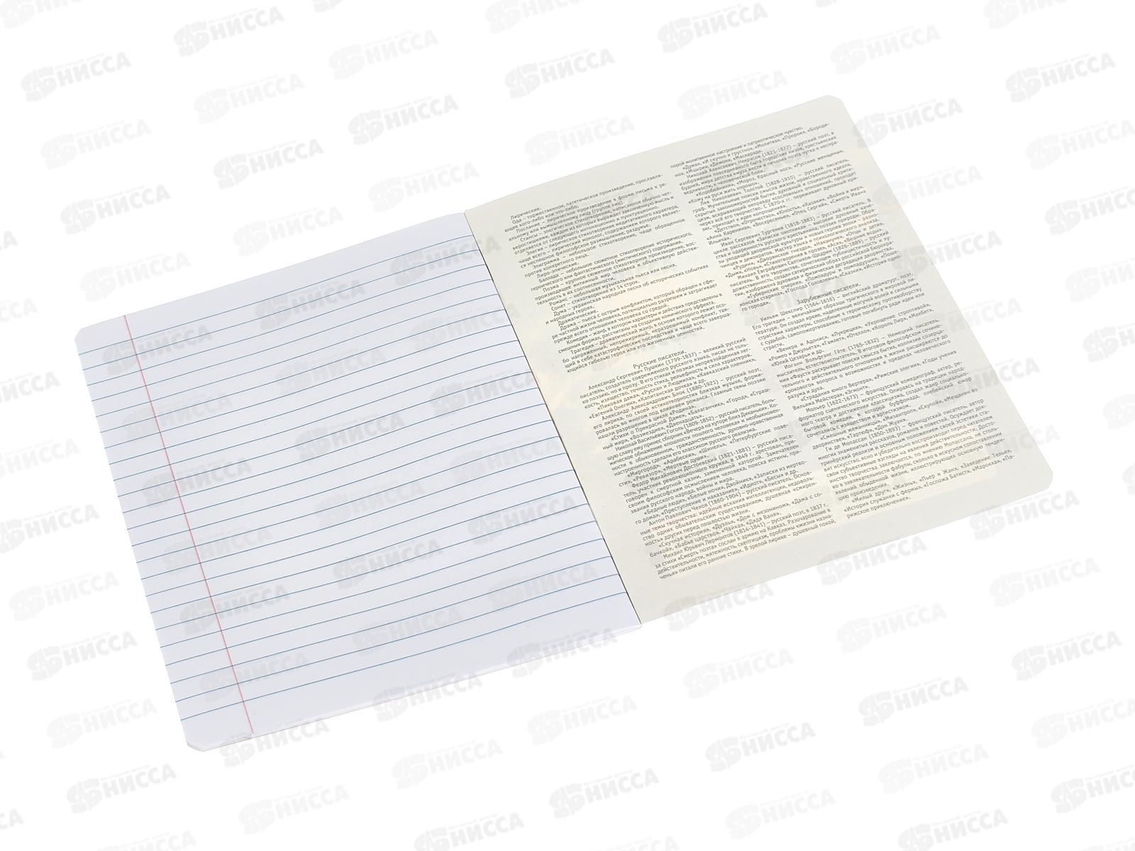 Тетрадь 40л лин. АКАД  Краски Литература,  EAC-15570 *20/60