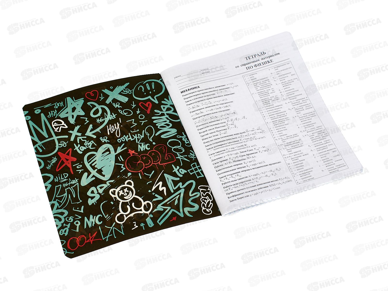 Тетрадь 48л кл. АКАД Мишки. Физика,  EAC-15585 *20/60