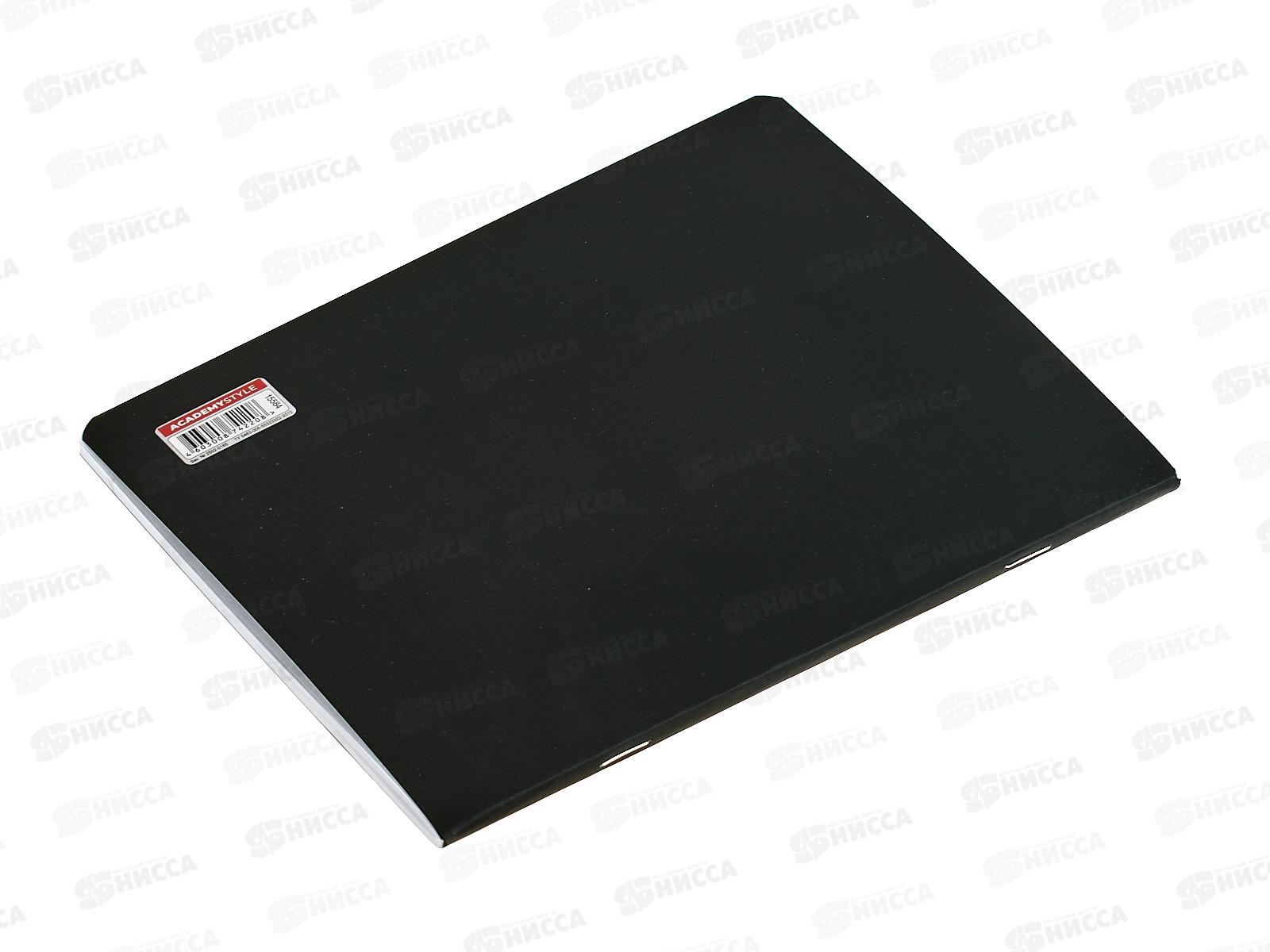 Тетрадь 48л лин. АКАД Мишки. Русский язык,  EAC-15584 *20/60