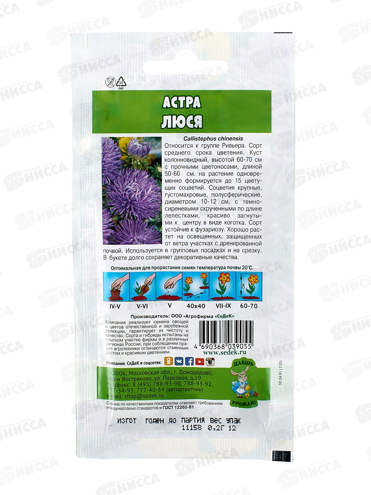 Астра Люся (игольчатая, т-сиреневая) ДУ (Евро, 0,2) СеДек *10 +