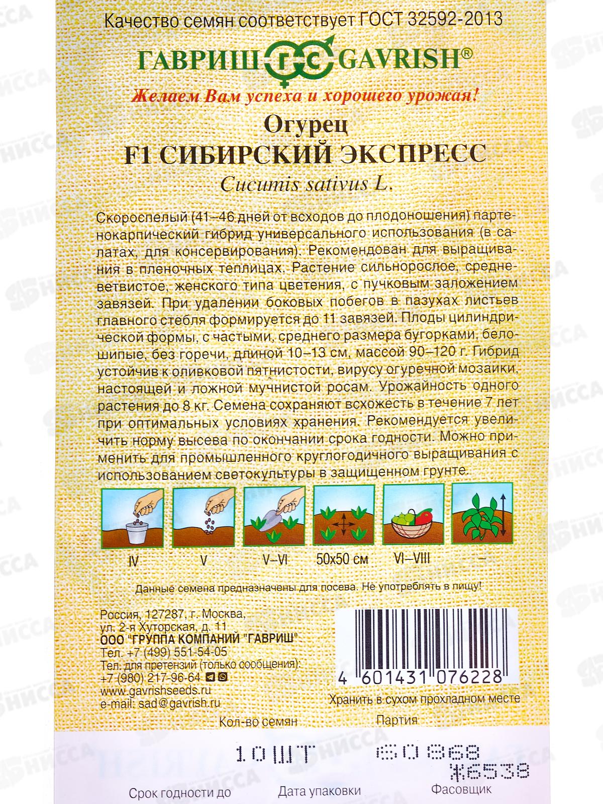Огурец Сибирский F1 10шт экспресс автор *10 ГШ