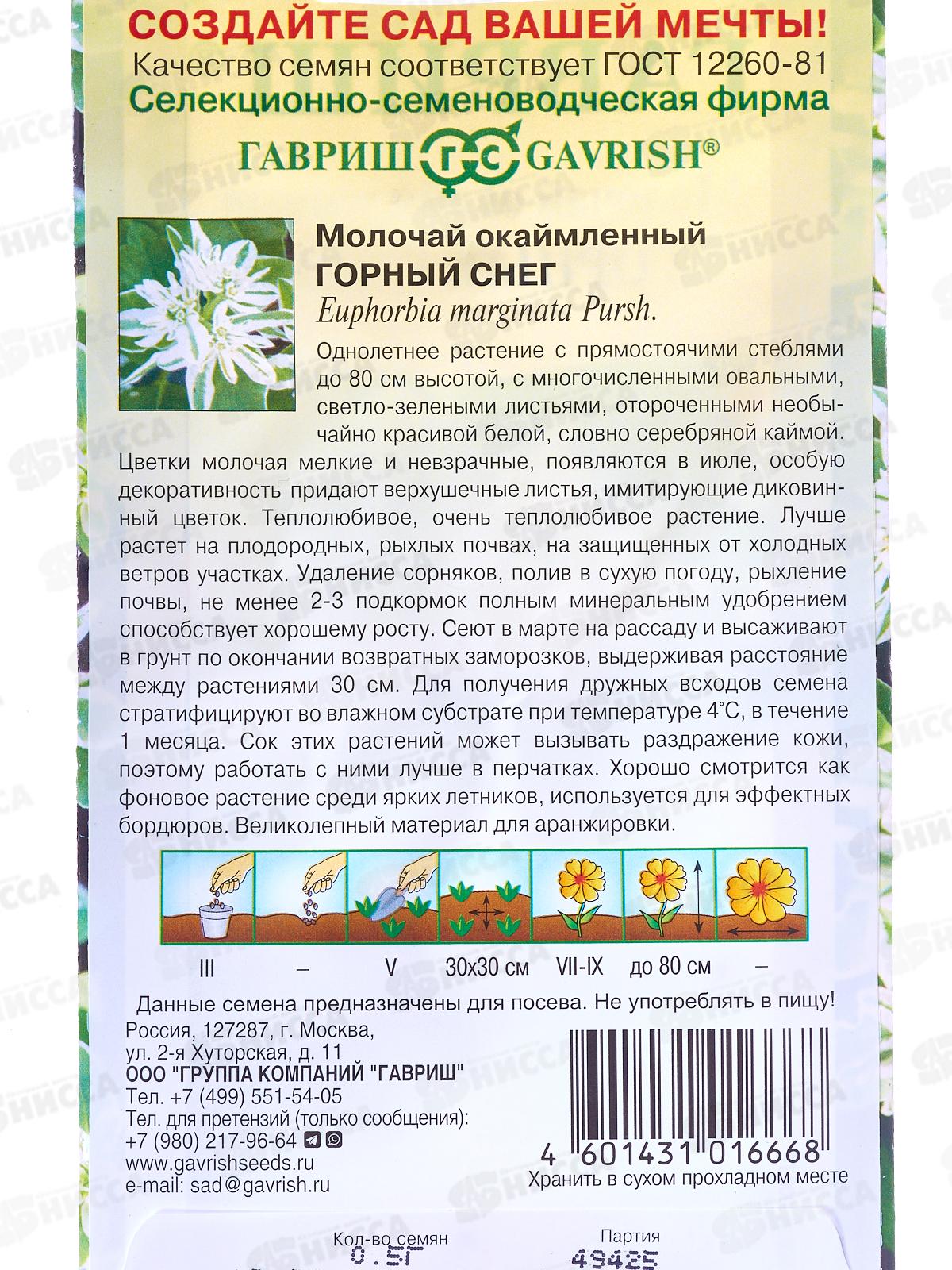 Молочай окаймленный Горный снег 0,5г  *10 ГШ