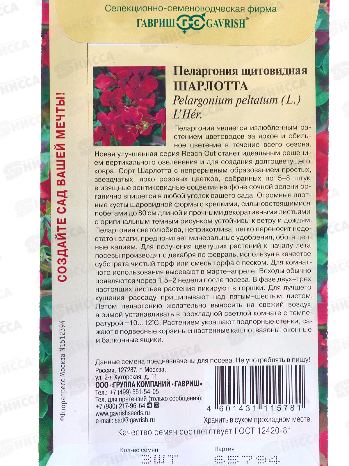 Пеларгония Шарлотта ампельная 3шт Н22  *10 ГШ