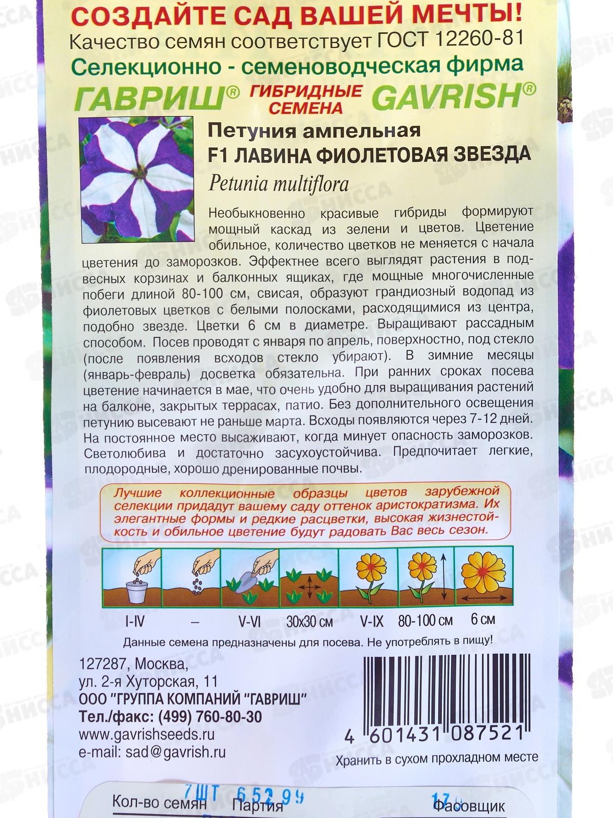 Петуния Лавина Фиолетовая Звезда F1 амп.7шт проб. *10 ГШ