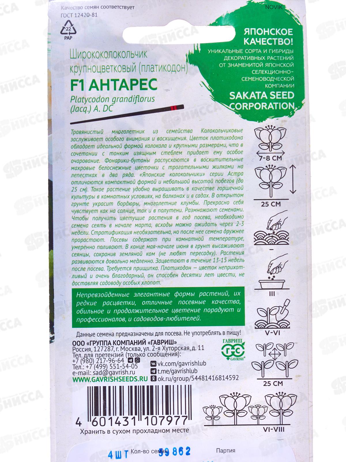 Ширококолокольчик Антарес крупн F1 4шт Н21 *10 ГШ +