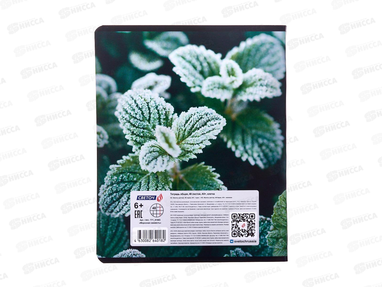 Тетрадь 48л клетка SVETOCH Морозная свежесть, 01503  *10/60