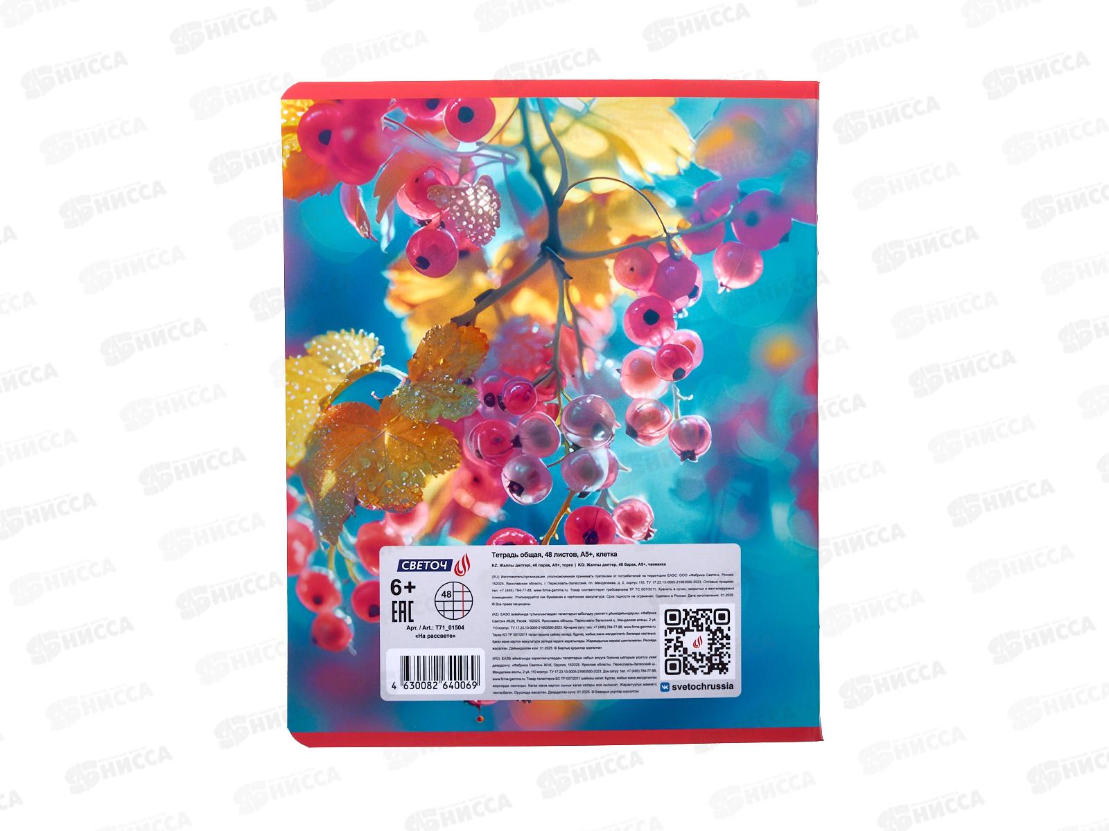 Тетрадь 48л клетка SVETOCH На рассвете, 01504  *10/60