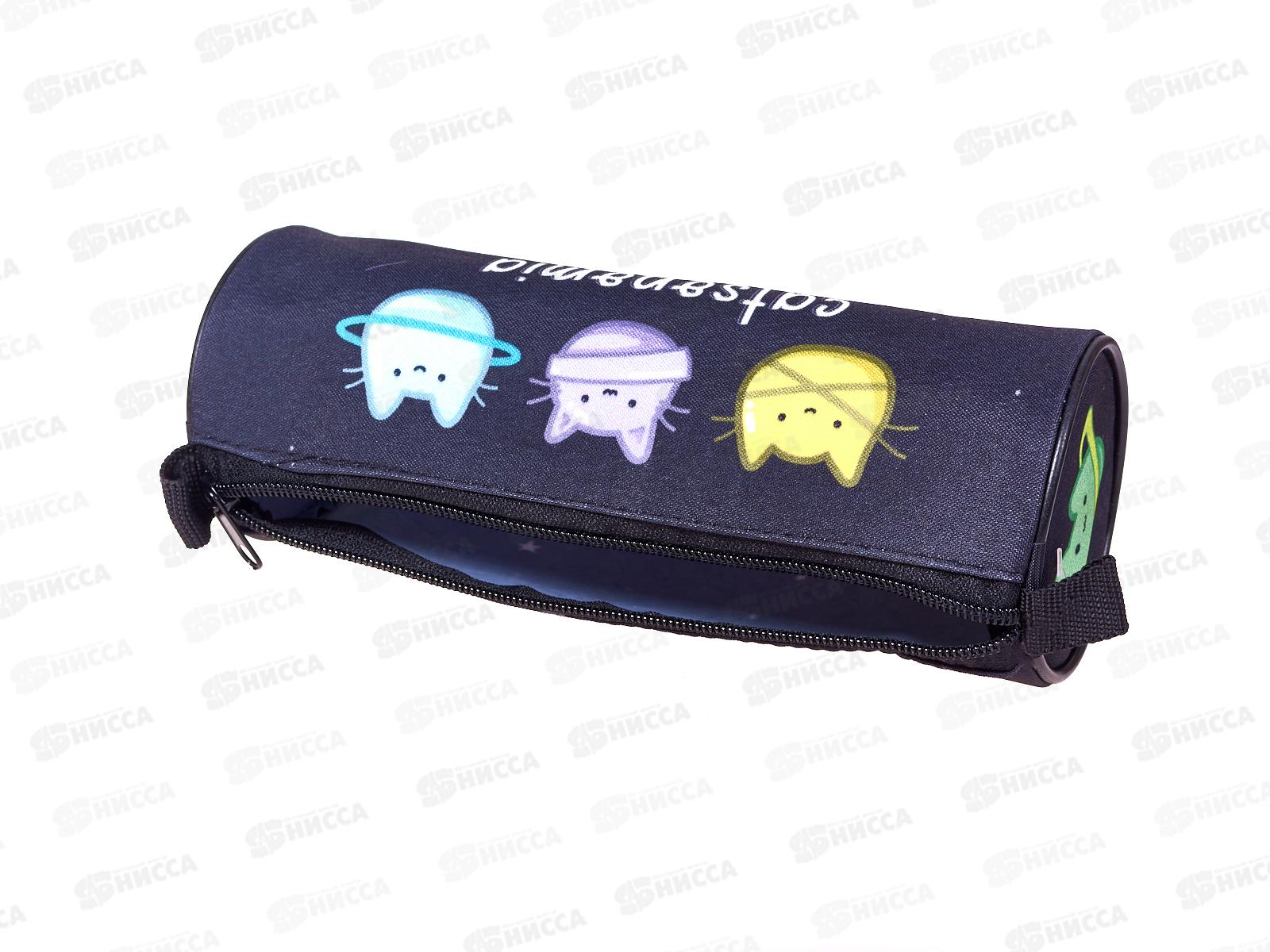 Пенал-тубус ПЧЕЛКА Catsonomia 2025, молн., ПТ-221 *100