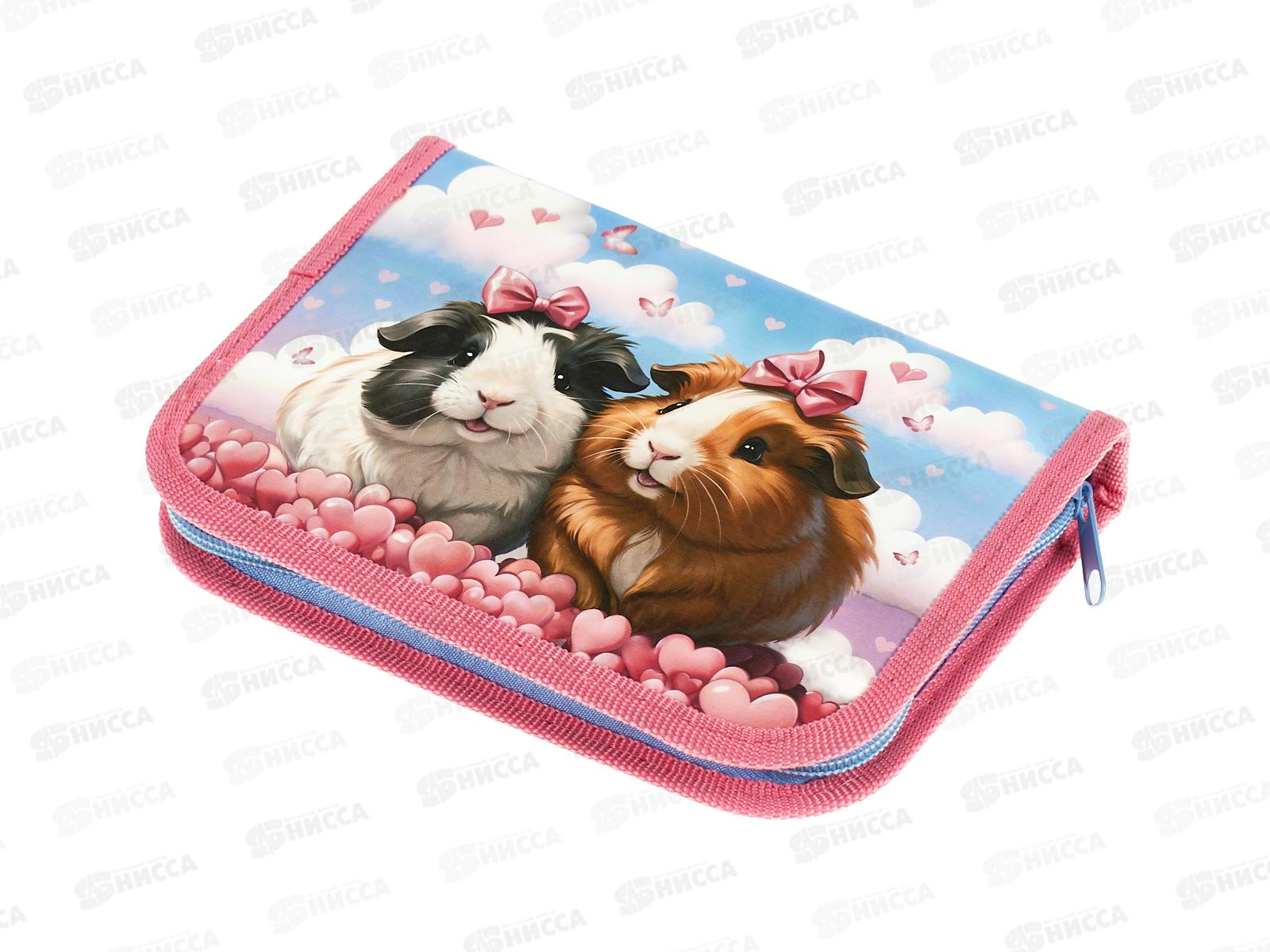 Пенал Hatber 19*13 Путешествие на воздушном шаре 1 отд, молн.46082 *12