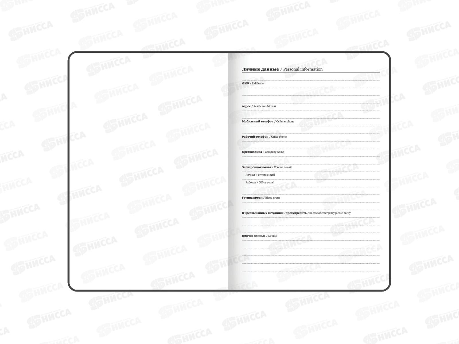 Ежедневник BRAU 2026 А5,Млечный путь, с резинкой тв.обл. 117345 *10