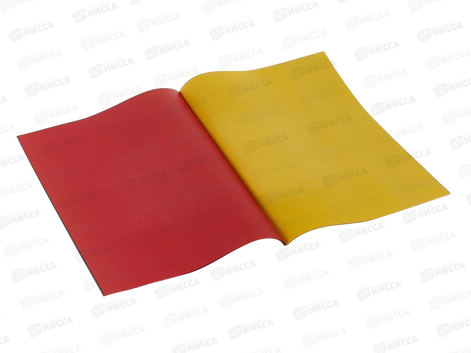 Цветная бум. двуст. 16л  8цв A4 Апплика Лесные друзья С0235-26/60