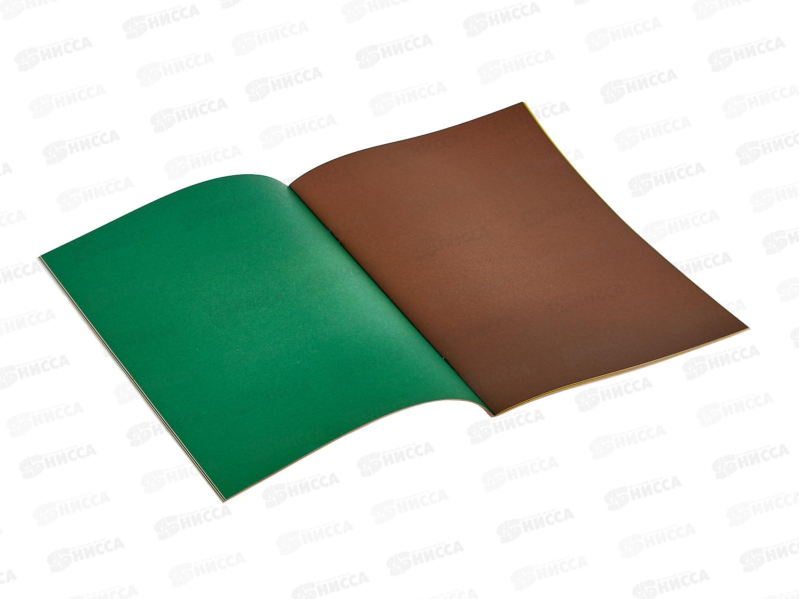 Цветная бум. 16л 8цв A5+ Мишка с шишками 16-9512/50