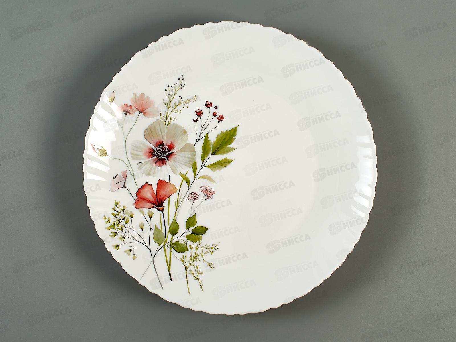 Тарелка обеденная Сухоцветы 24см MFK21180