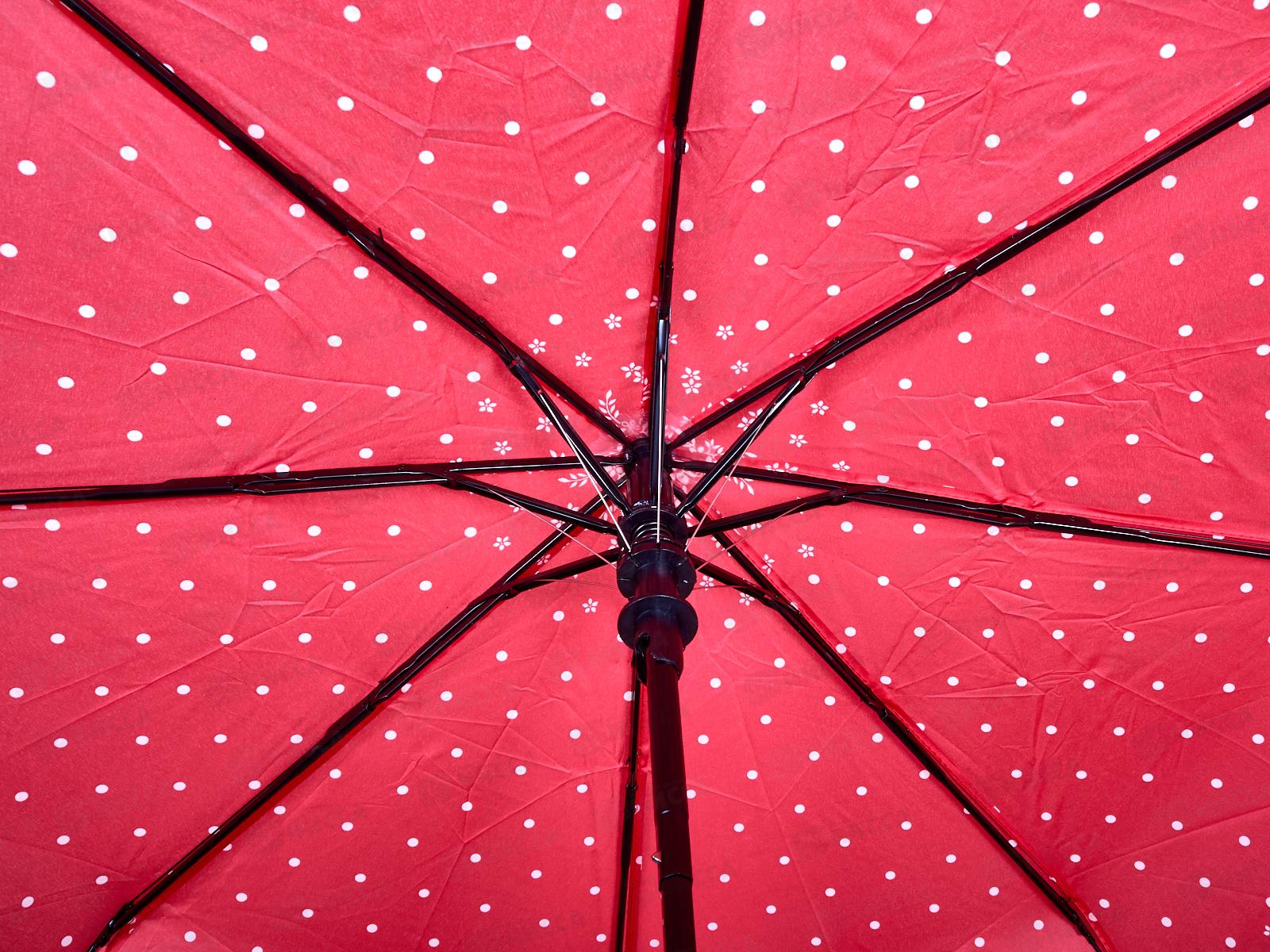 Зонт полуавтомат женский  (065535) *60  Ж