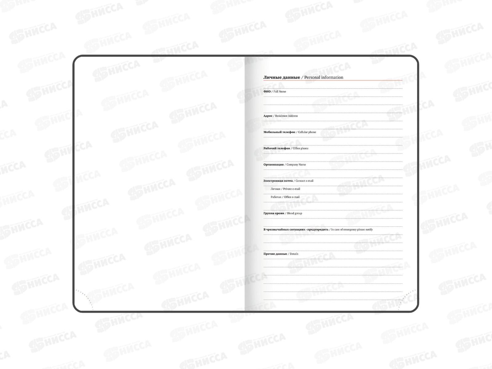 Ежедневник BRAU 2026 А5,Favorit п/кож, зеленый 117038