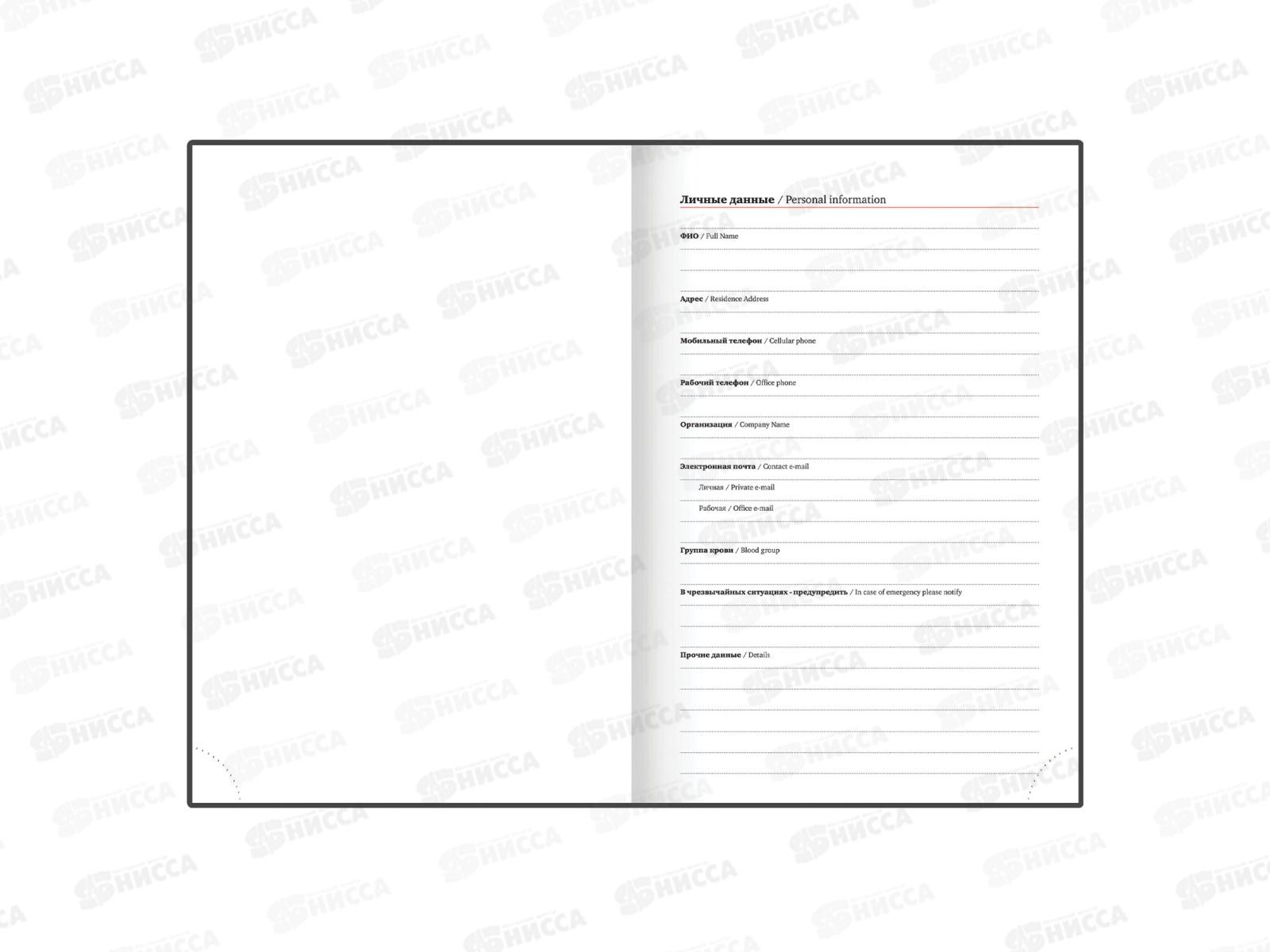 Ежедневник BRAU 2026 А5,Senator п/кожу, белый 117095 *10