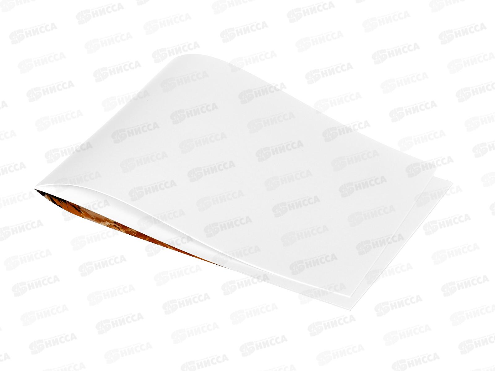 Альбом для рисования 8л ПП Синий внедорожник - 2, 08-7540 *10